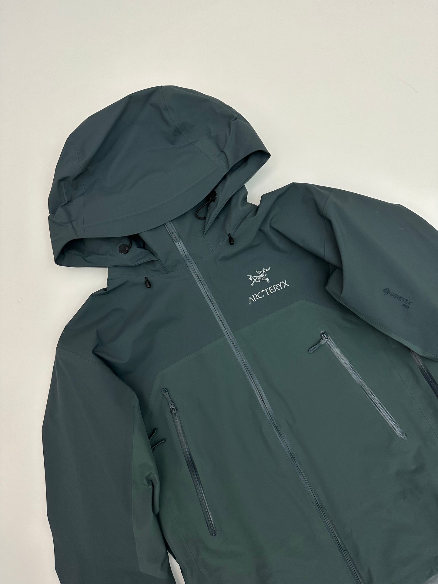 Arc’teryx Beta AR Jacket Paradox Men’s S Small Gore-Tex Pro RECCO