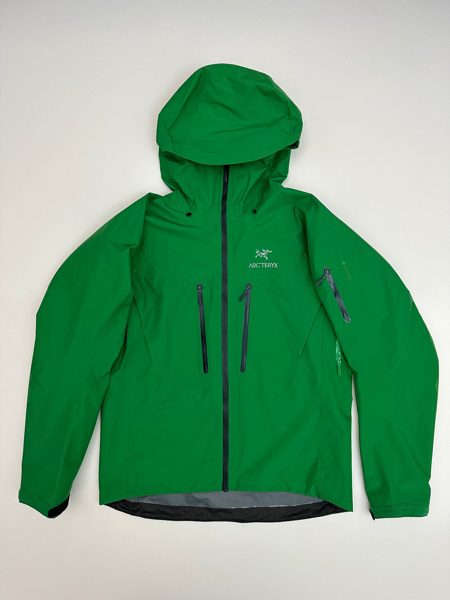 Arc’teryx Alpha SV Jacket Jungle Green Men’s L Large Gore-Tex Pro RECCO