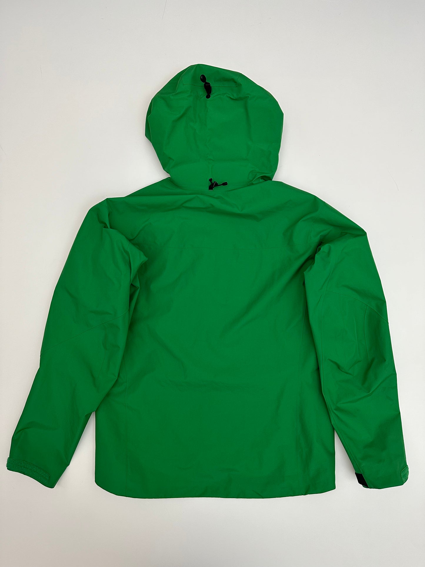 Arc’teryx Alpha SV Jacket Jungle Green Men’s L Large Gore-Tex Pro RECCO