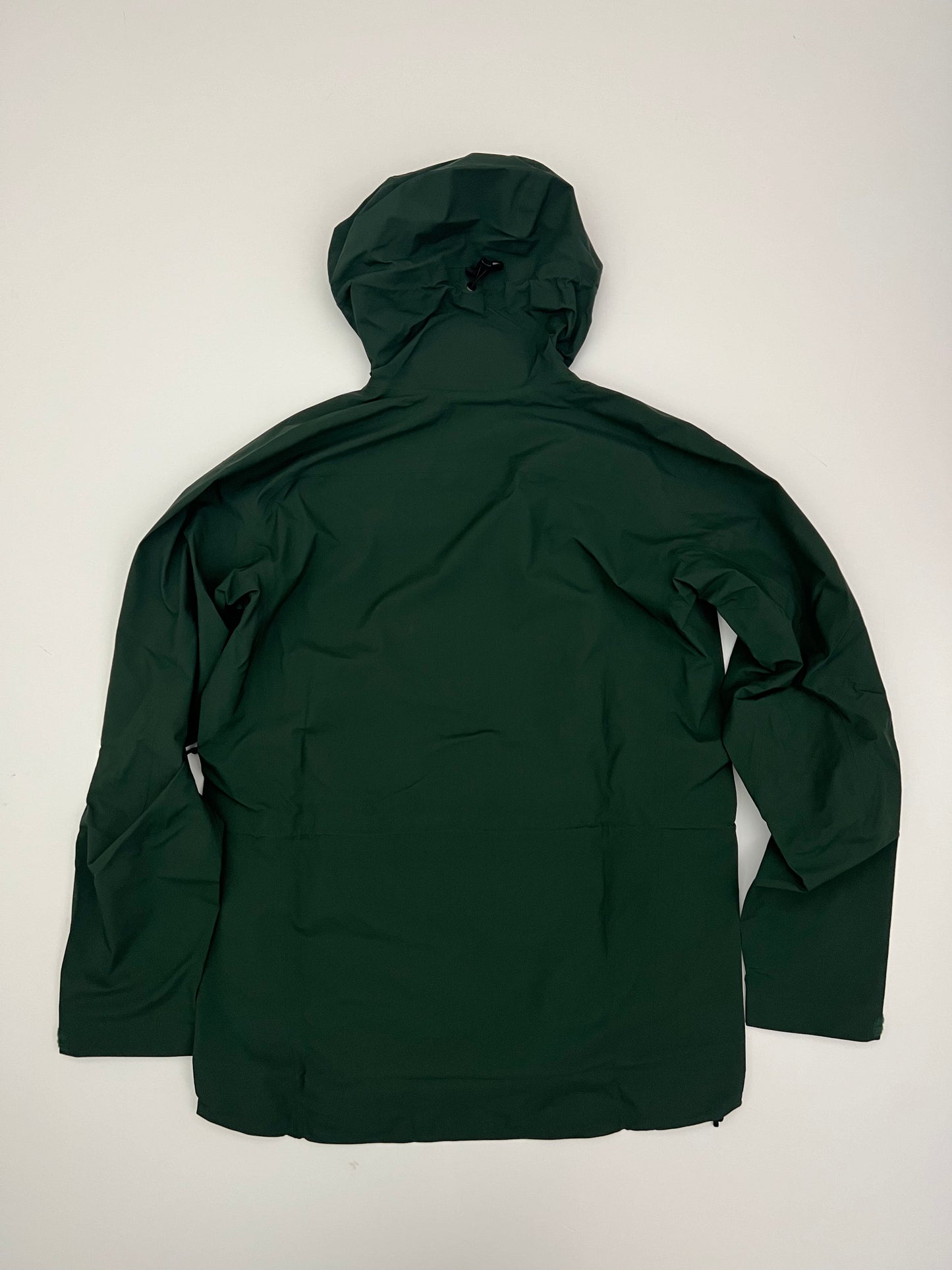 Arc’teryx Zeta AR Jacket Conifer Green Men’s XL Extra Large Gore-Tex