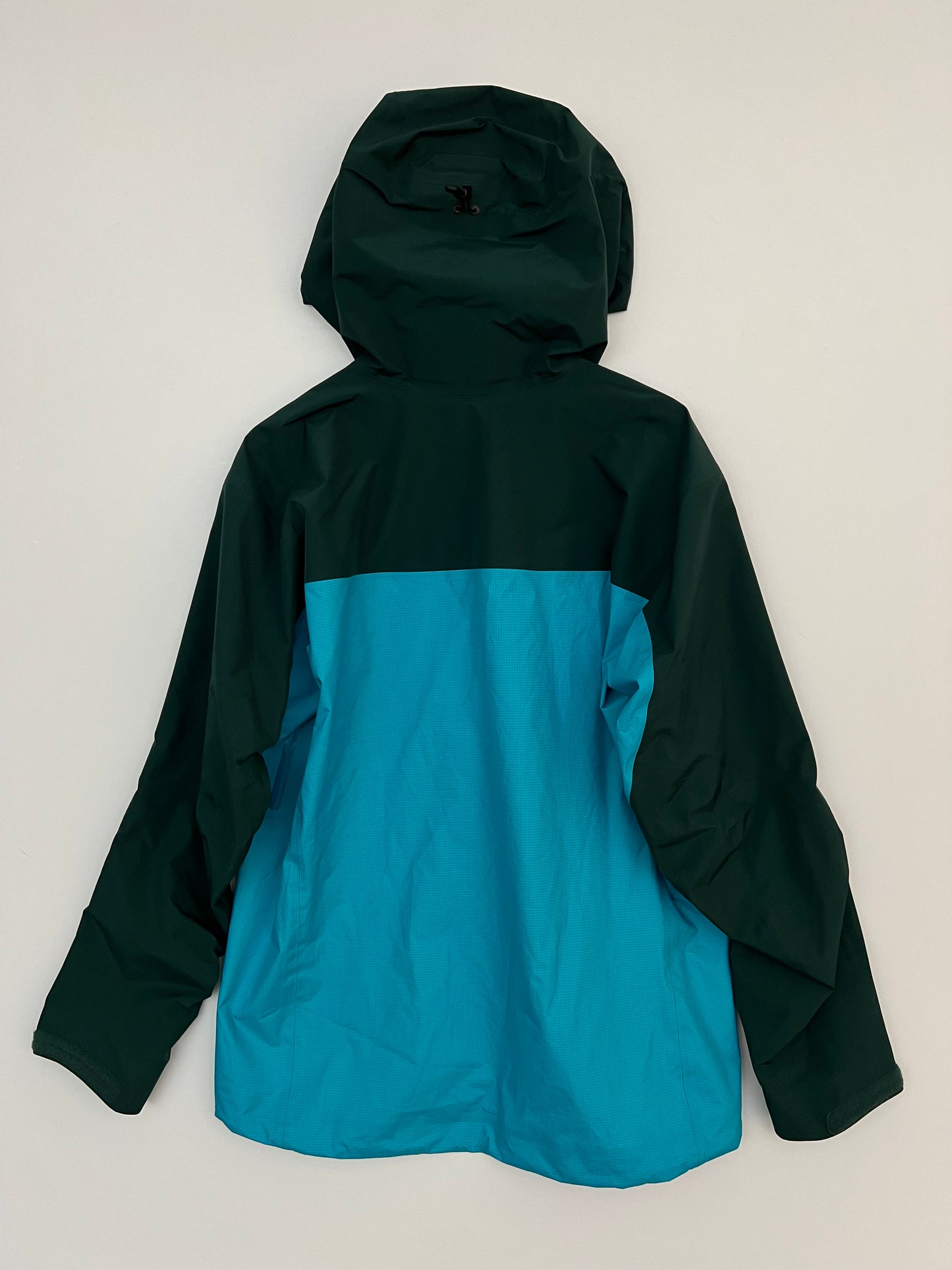 Arc’teryx Alpha Jacket Blue Tetra / Pytheas Men’s XL Gore-Tex Pro RECCO