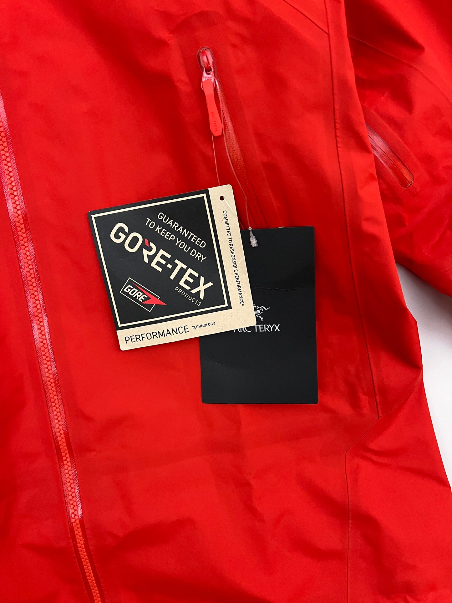 Arc’teryx Beta SL Jacket Dynasty Men’s S Small Gore-Tex RECCO