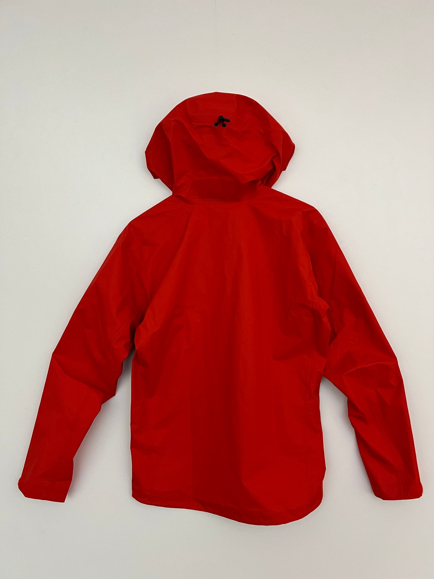 Arc’teryx Beta SL Jacket Dynasty Men’s M Medium Gore-Tex RECCO