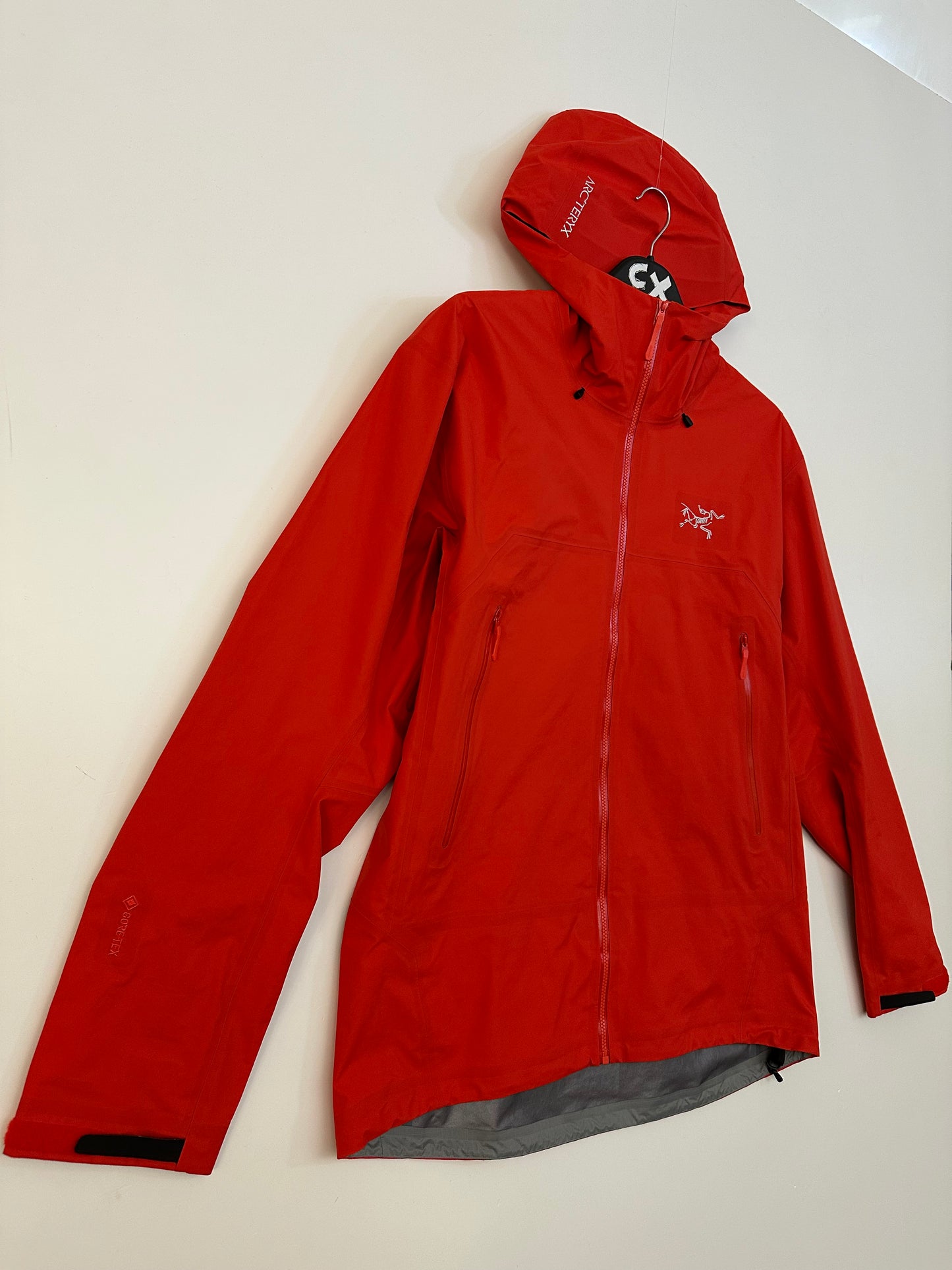 Arc’teryx Beta SL Jacket Dynasty Men’s L Large Gore-Tex RECCO