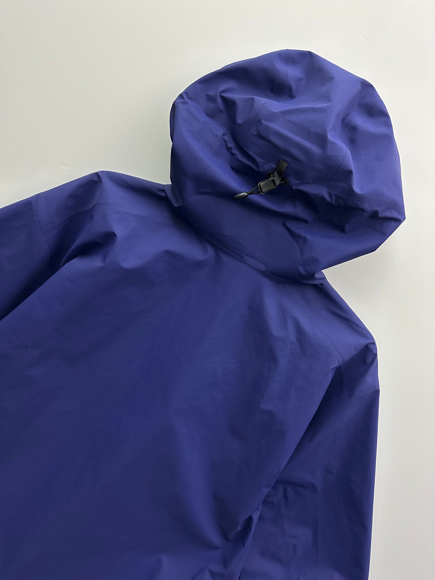 Arc’teryx Beta Jacket Purple Men’s L Large Gore-Tex RECCO