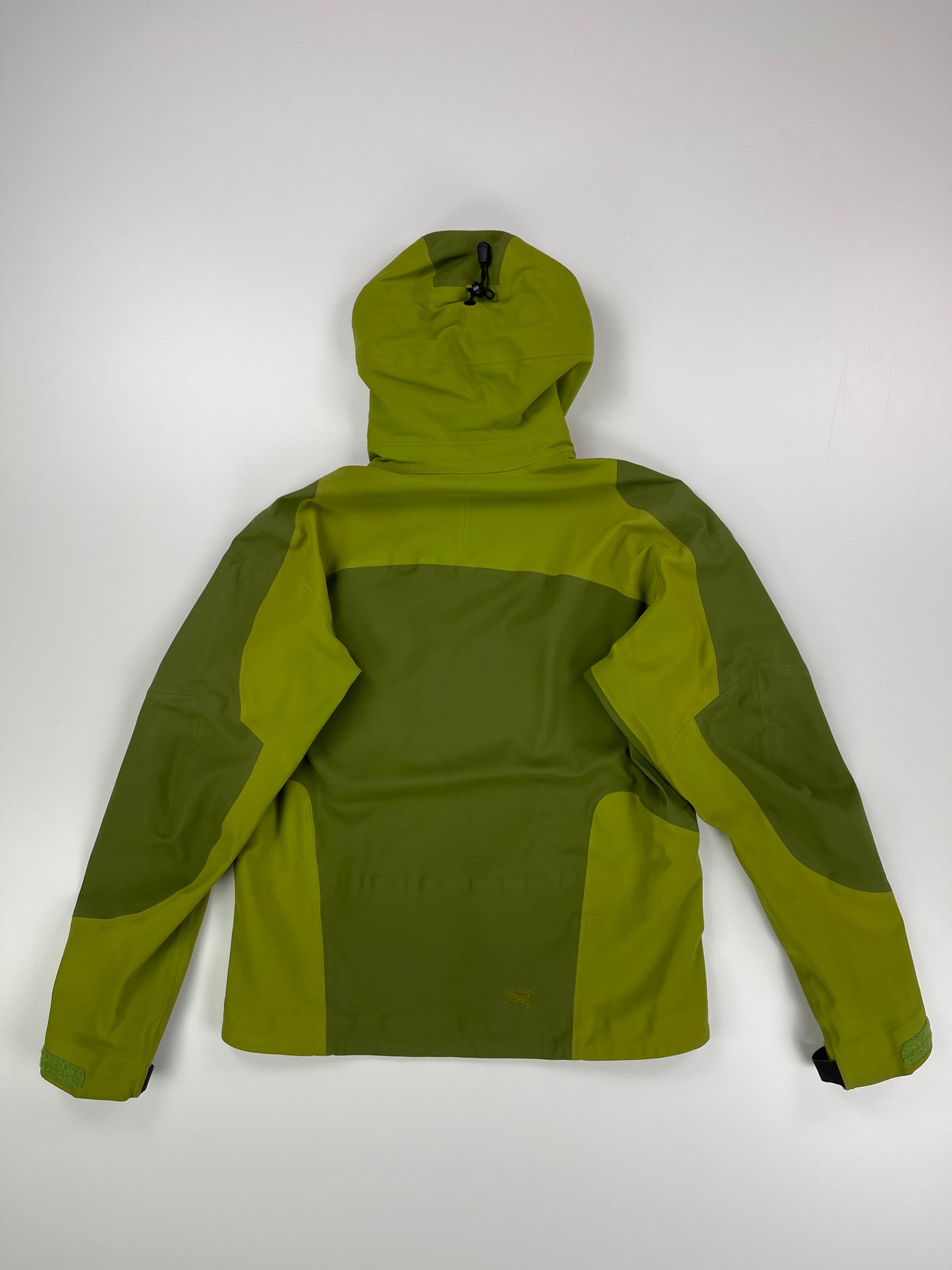 Arc’teryx Stingray Jacket Cricket Green Men’s S Small Gore-Tex RECCO