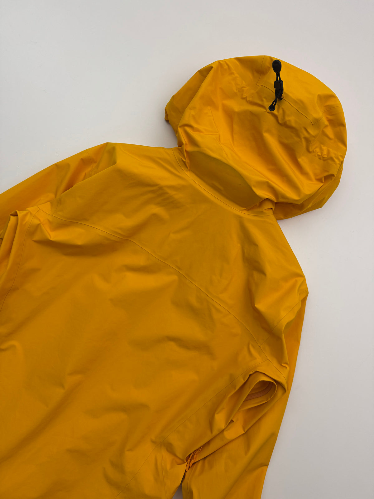 Arc'teryx Beta LT Jacket Edziza Men's S Small Gore-Tex