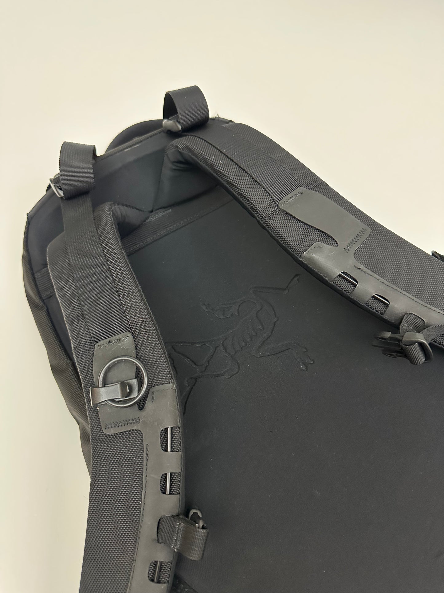 Arc’teryx Arro 22 Backpack Black / Khasi Green