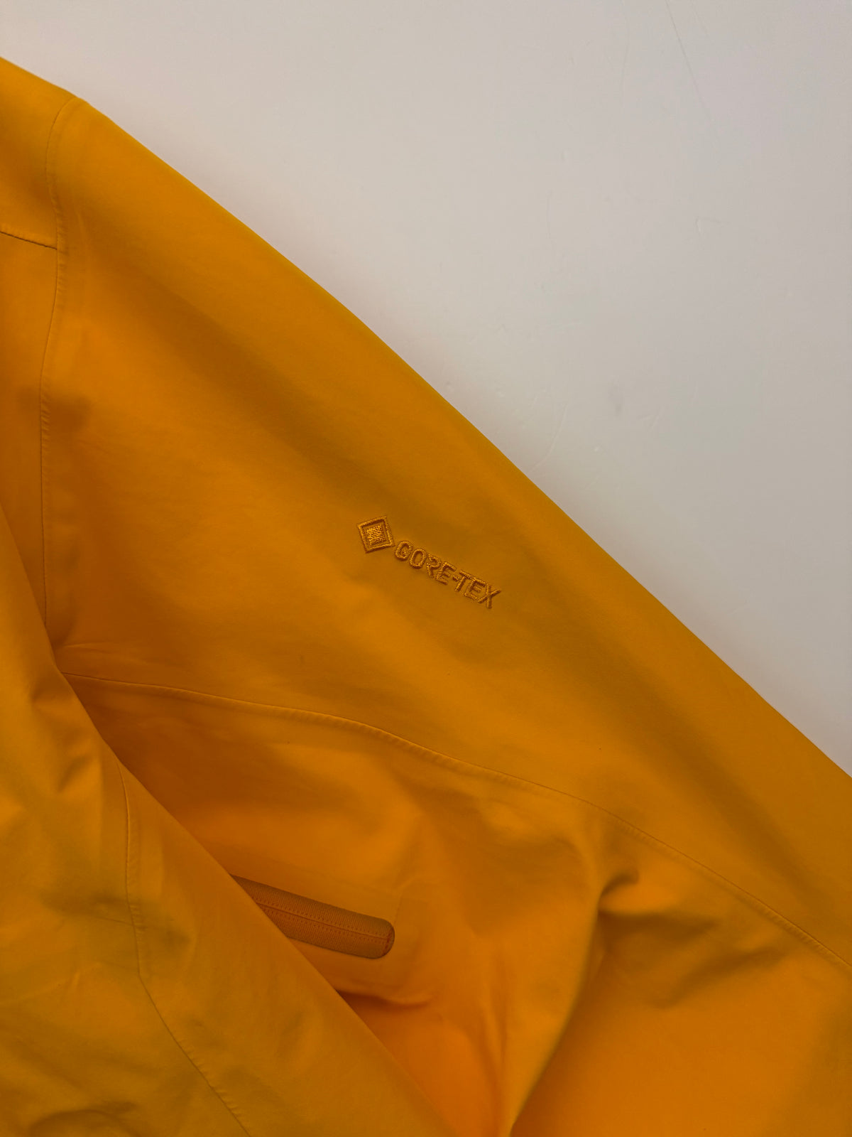 Arc'teryx Beta LT Jacket Edziza Men's S Small Gore-Tex