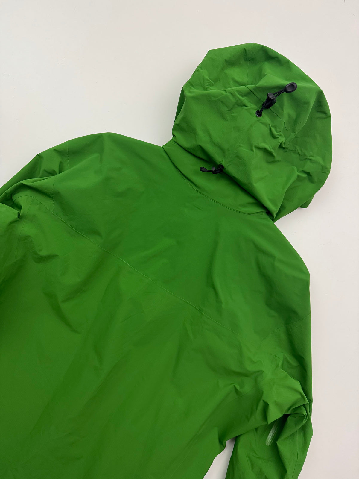 Arc’teryx Beta AR Jacket Green Men’s L Large Gore-Tex Pro