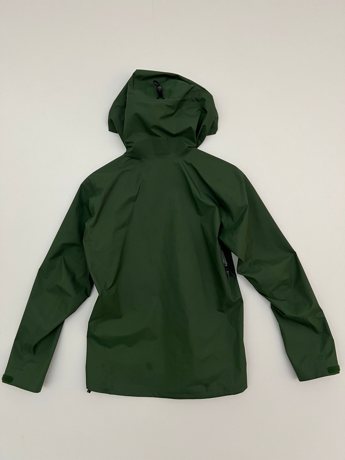Arc’teryx Beta SL Jacket Eden Men’s S Small Gore-Tex RECCO