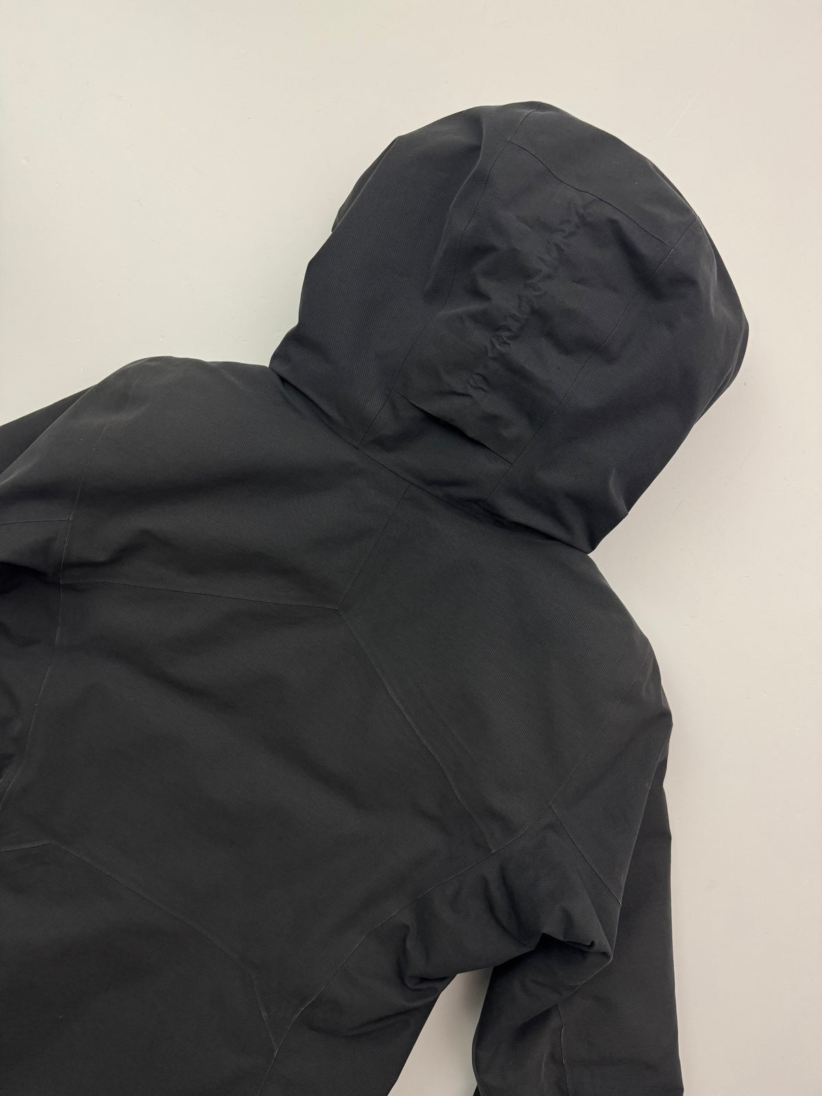 Arc'teryx Patera Parka Women's S Small Gore-Tex Down Insulated Coat