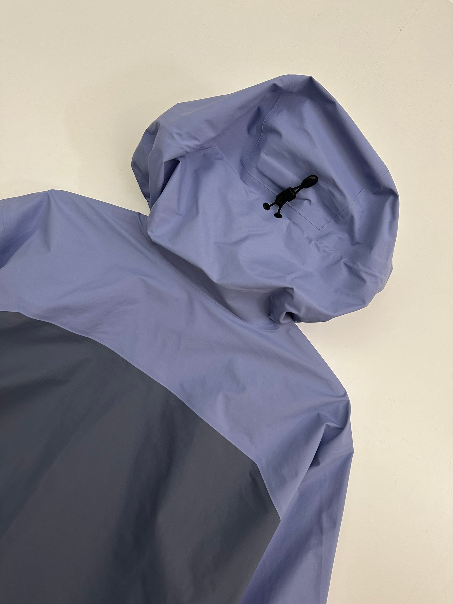 Arc’teryx Beta SL Jacket Twilight Trail Purple Women’s XXL Gore-Tex RECCO