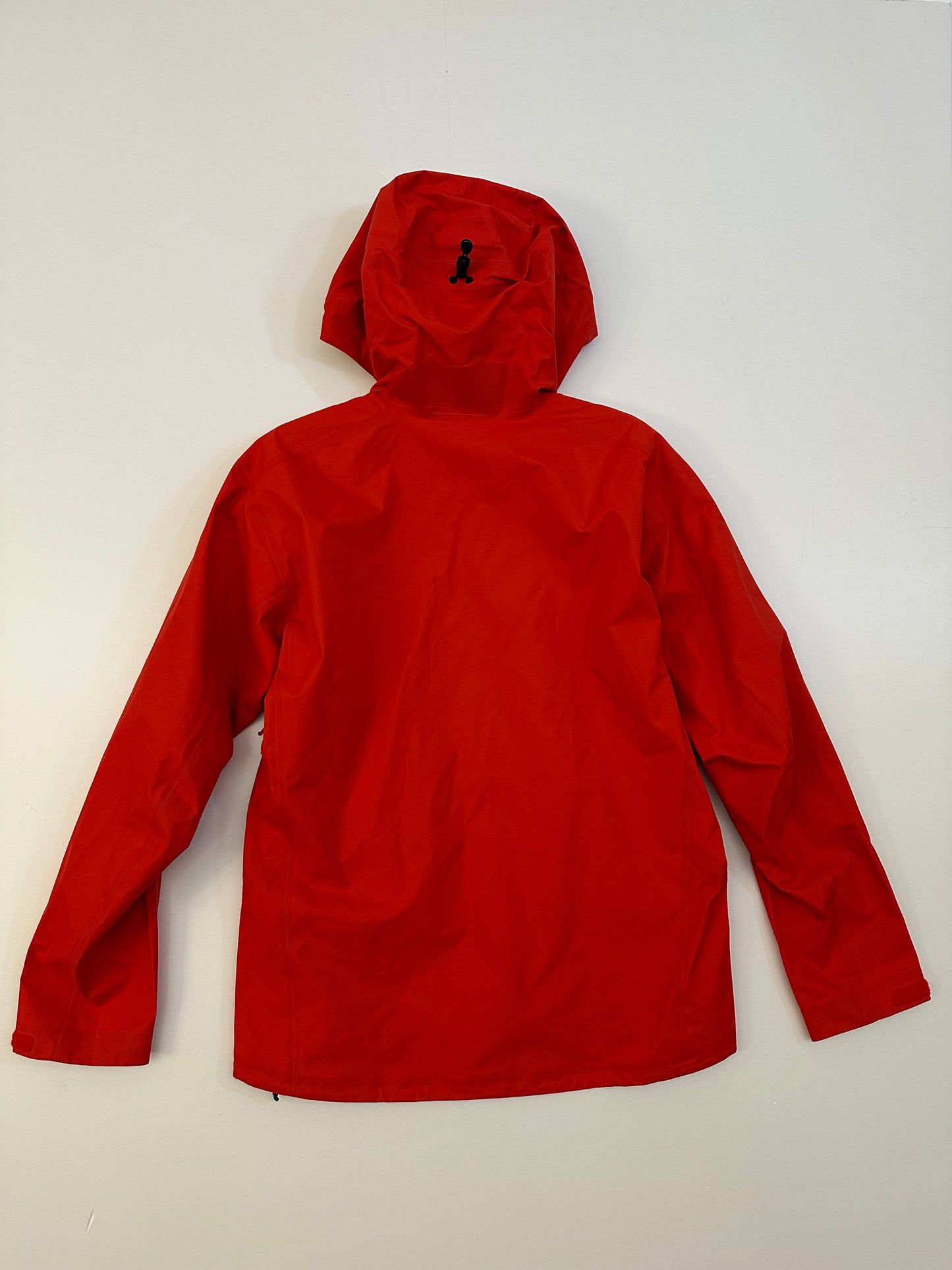 Arc’teryx Beta SL Jacket Dynasty Men’s L Large Gore-Tex RECCO