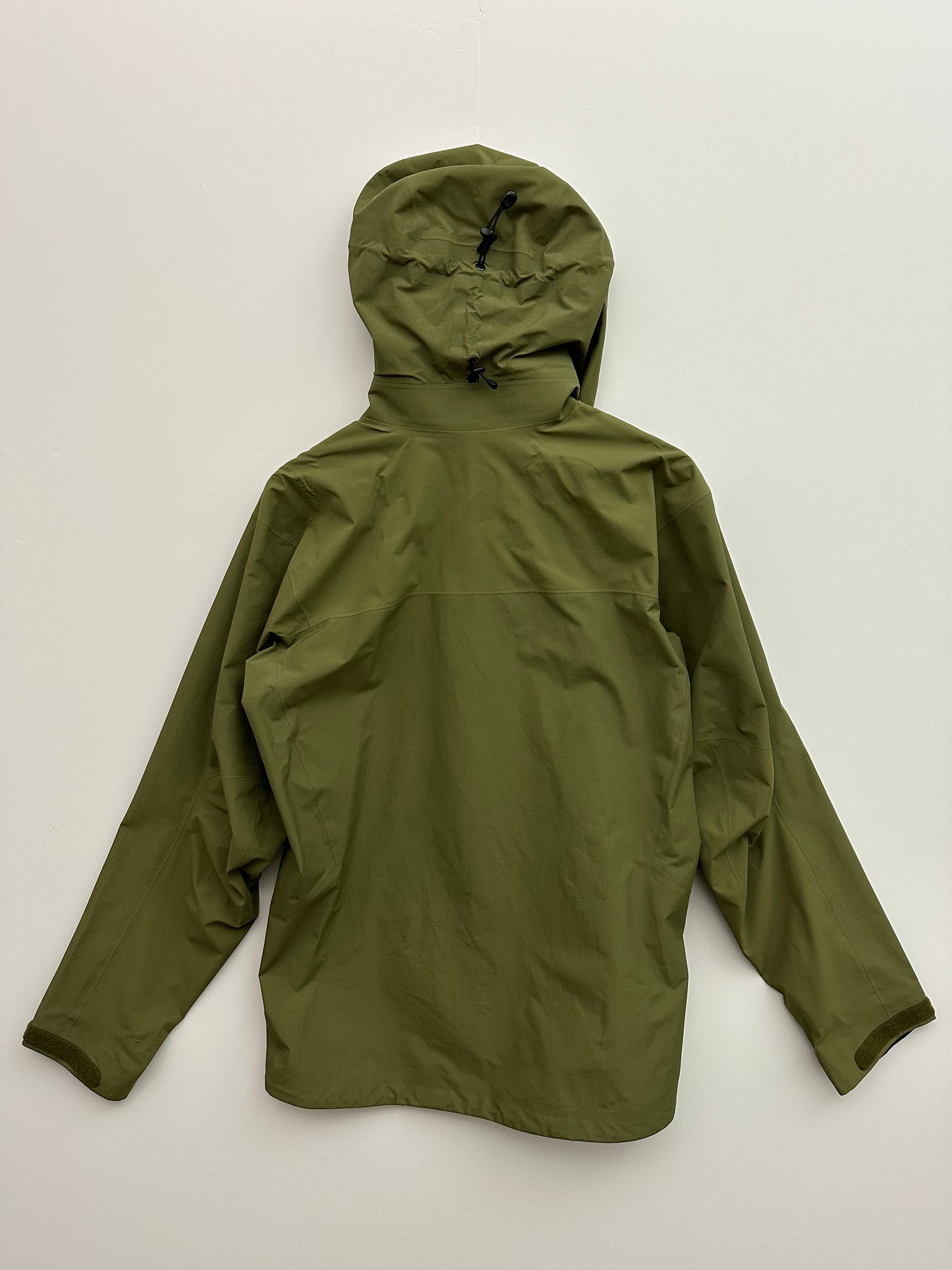 Arc’teryx Beta AR Jacket Green Men’s L Large Gore-Tex Pro