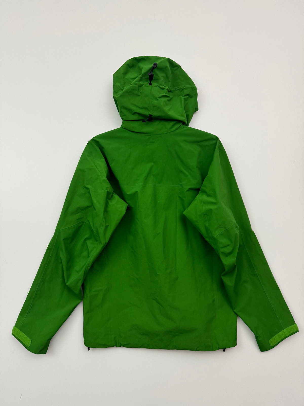 Arc’teryx Beta AR Jacket Green Men’s L Large Gore-Tex Pro