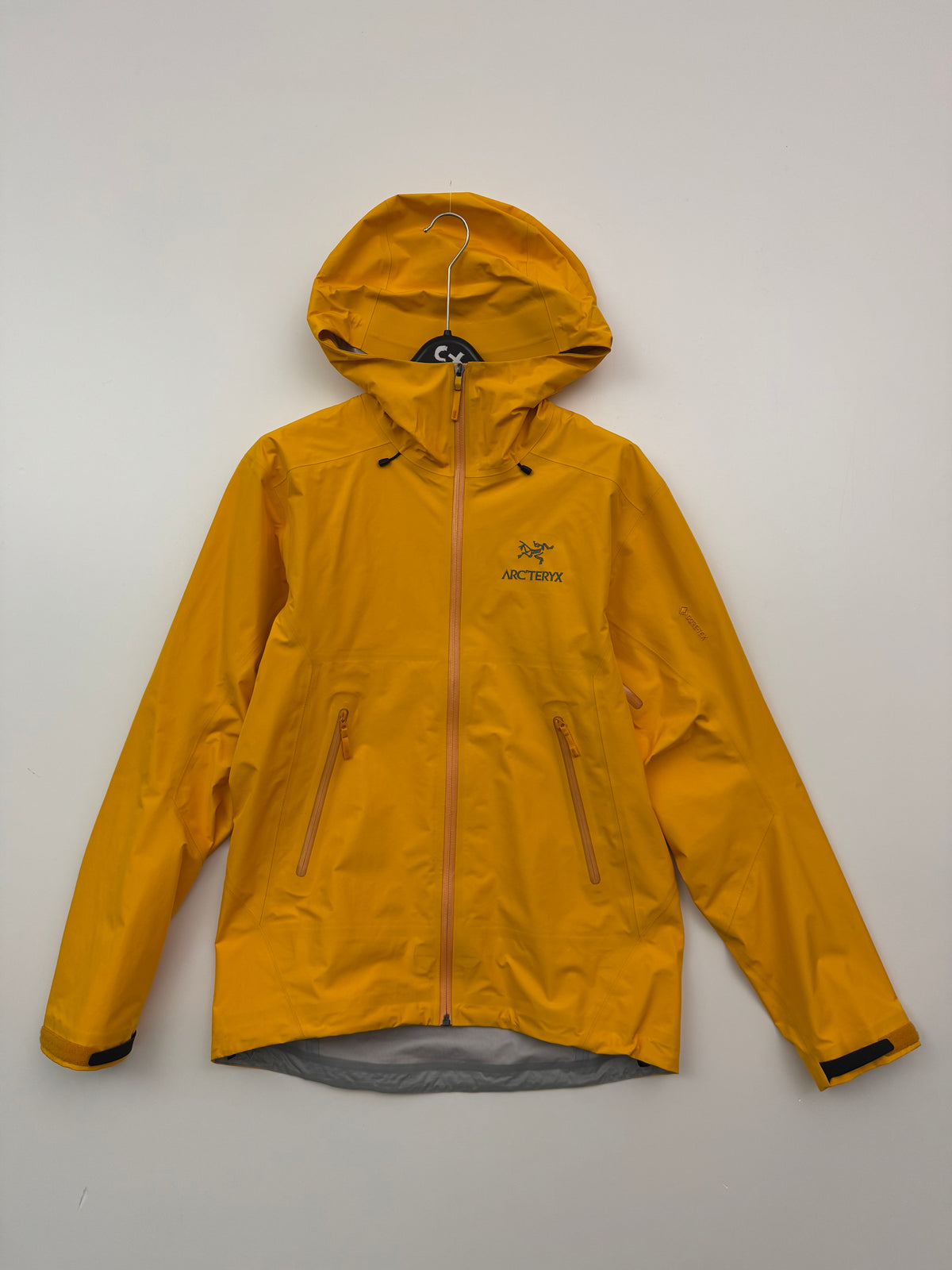 Arc'teryx Beta LT Jacket Edziza Men's S Small Gore-Tex