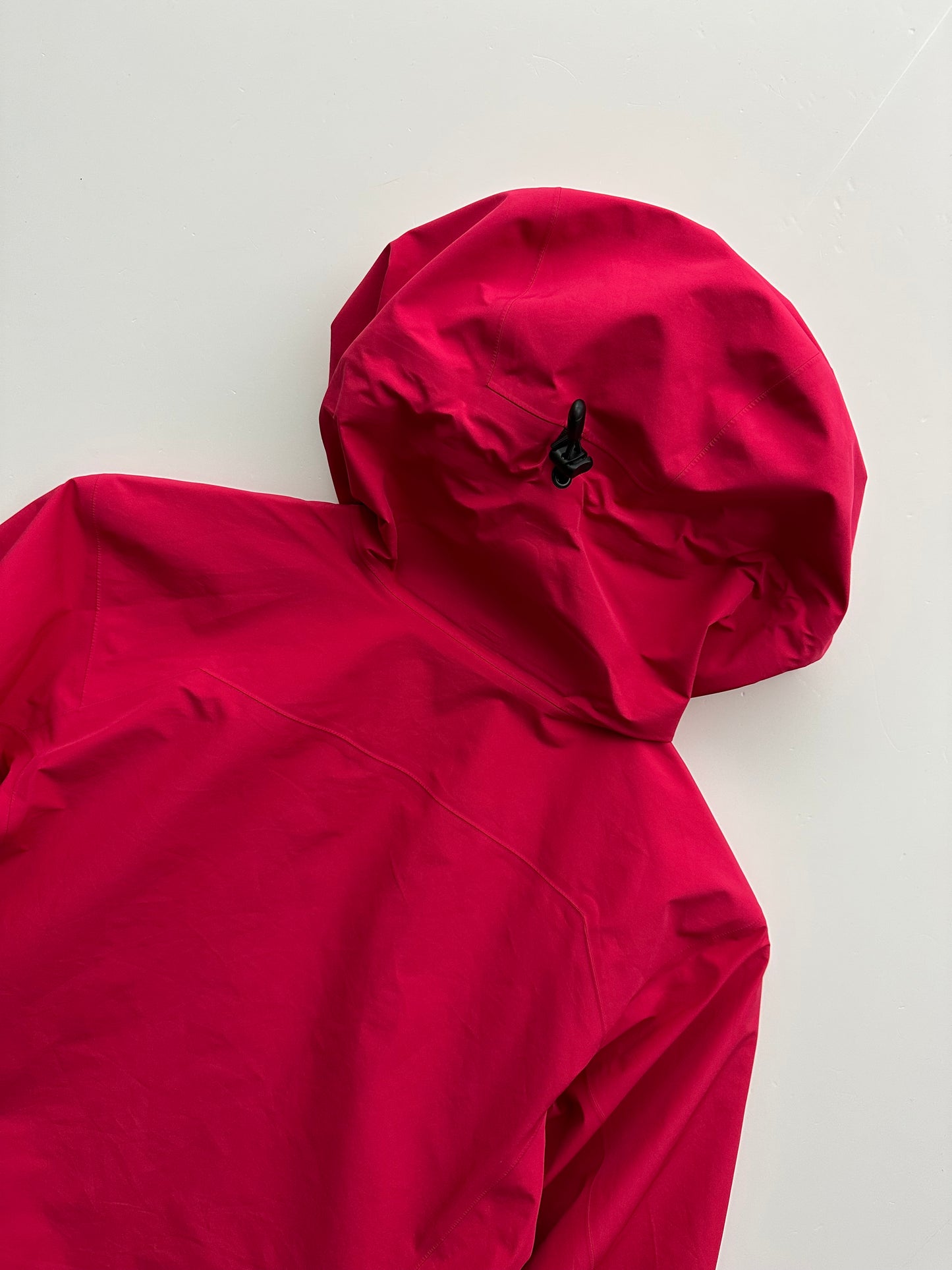 Arc’teryx Zeta LT Jacket Pink Women’s M Medium Gore-Tex