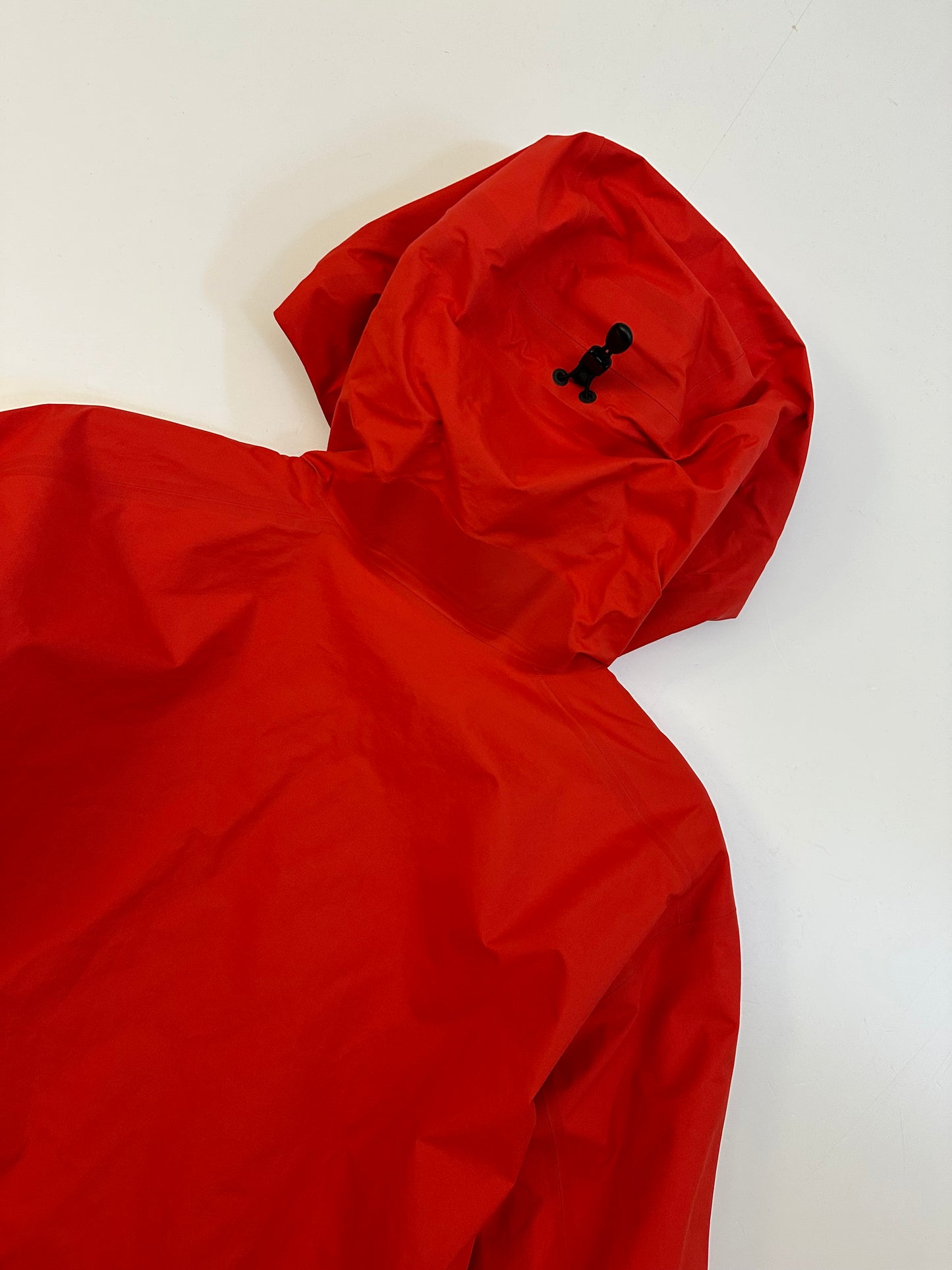 Arc’teryx Beta SL Jacket Dynasty Men’s L Large Gore-Tex RECCO
