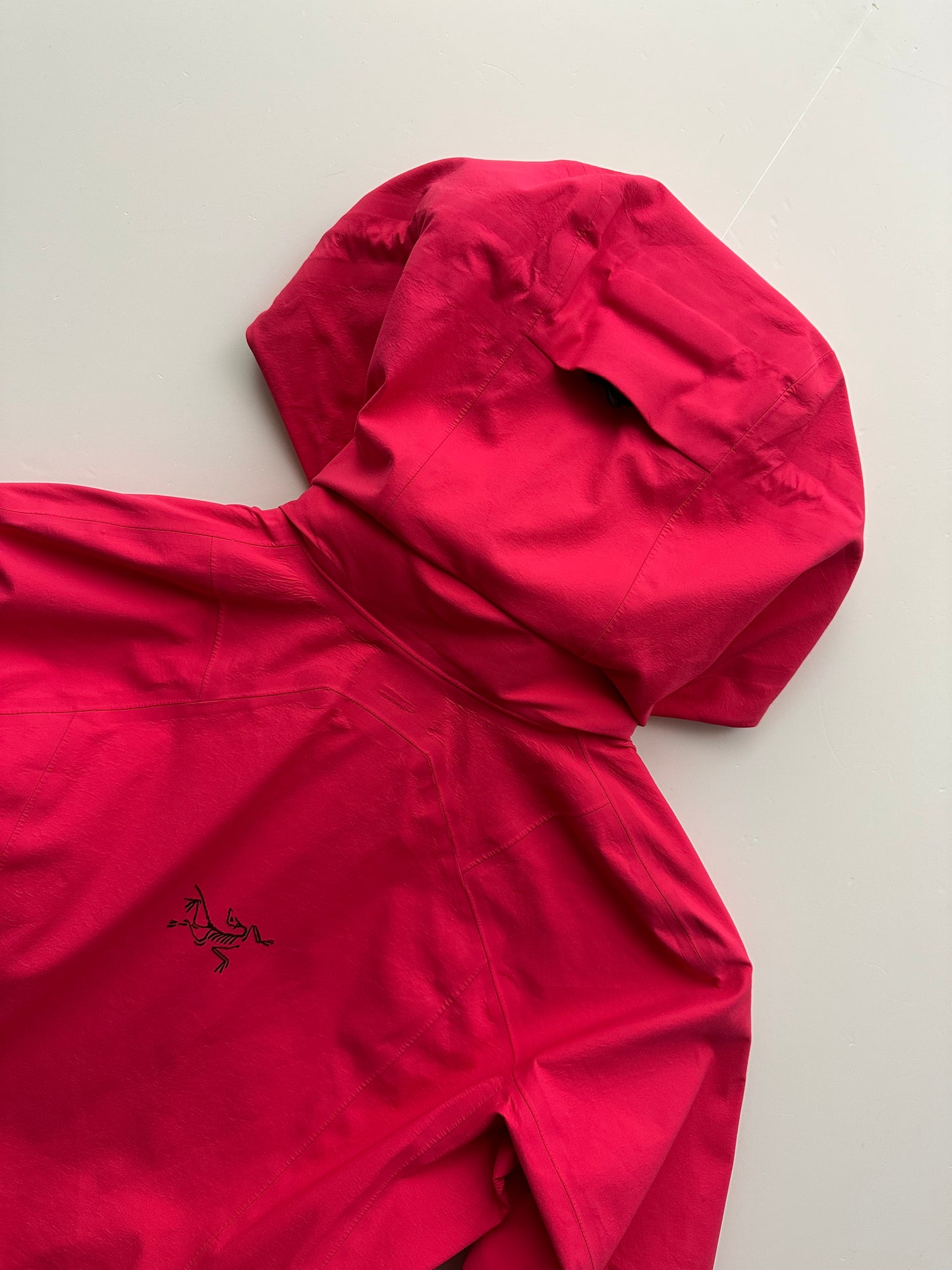 Arc’teryx Ravenna Jacket Pink Women's XS Gore-Tex RECCO