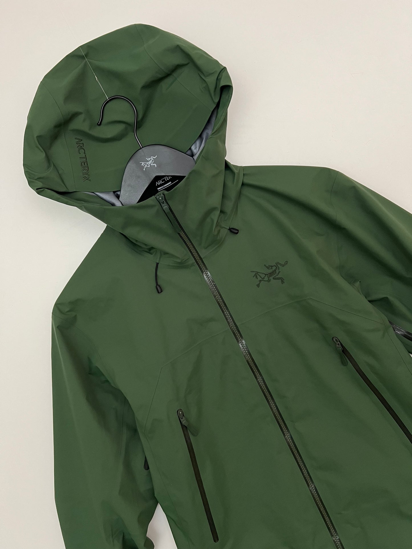 Arc’teryx Beta SL Jacket Eden Men’s S Small Gore-Tex RECCO