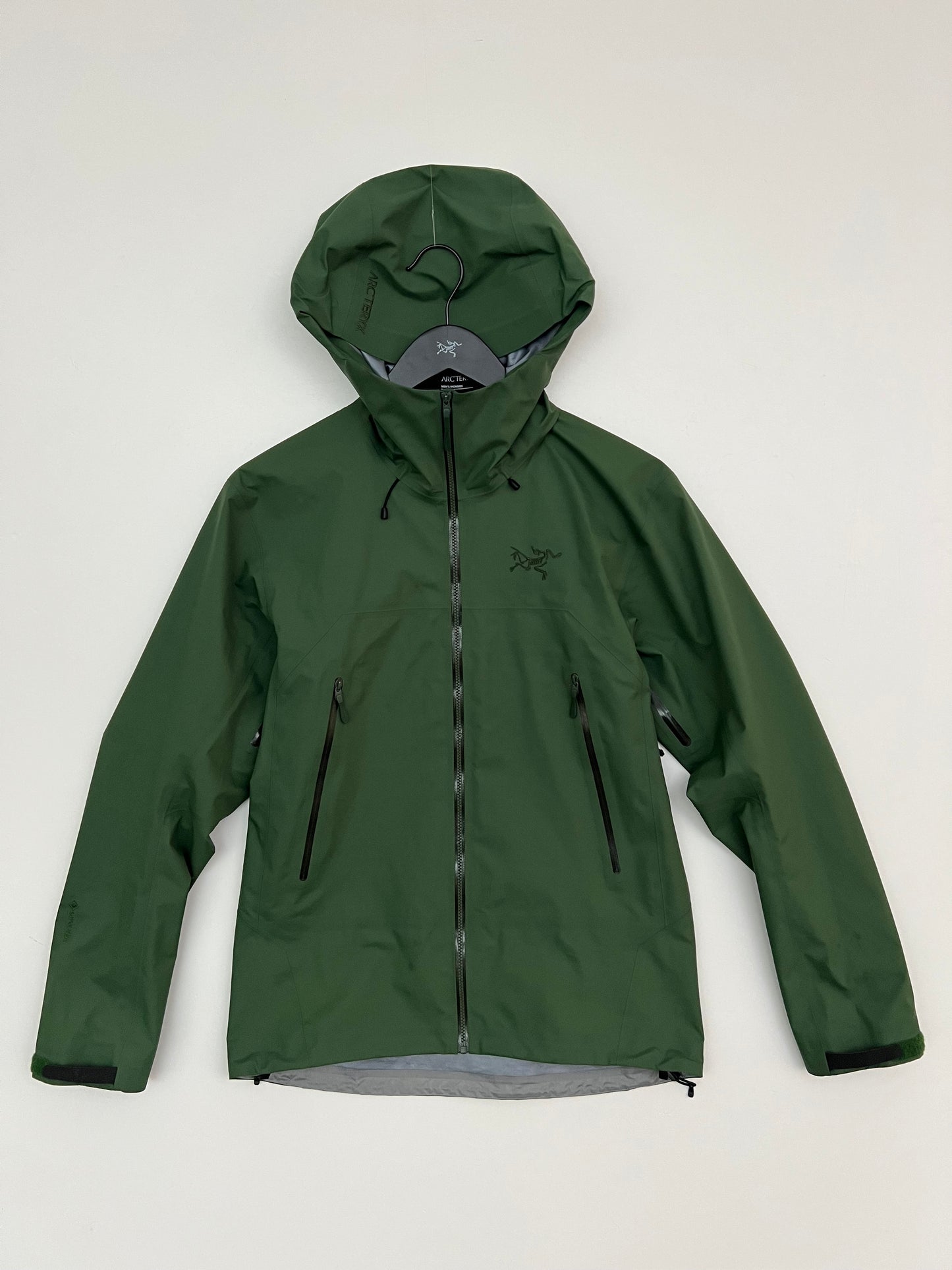 Arc’teryx Beta SL Jacket Eden Men’s S Small Gore-Tex RECCO