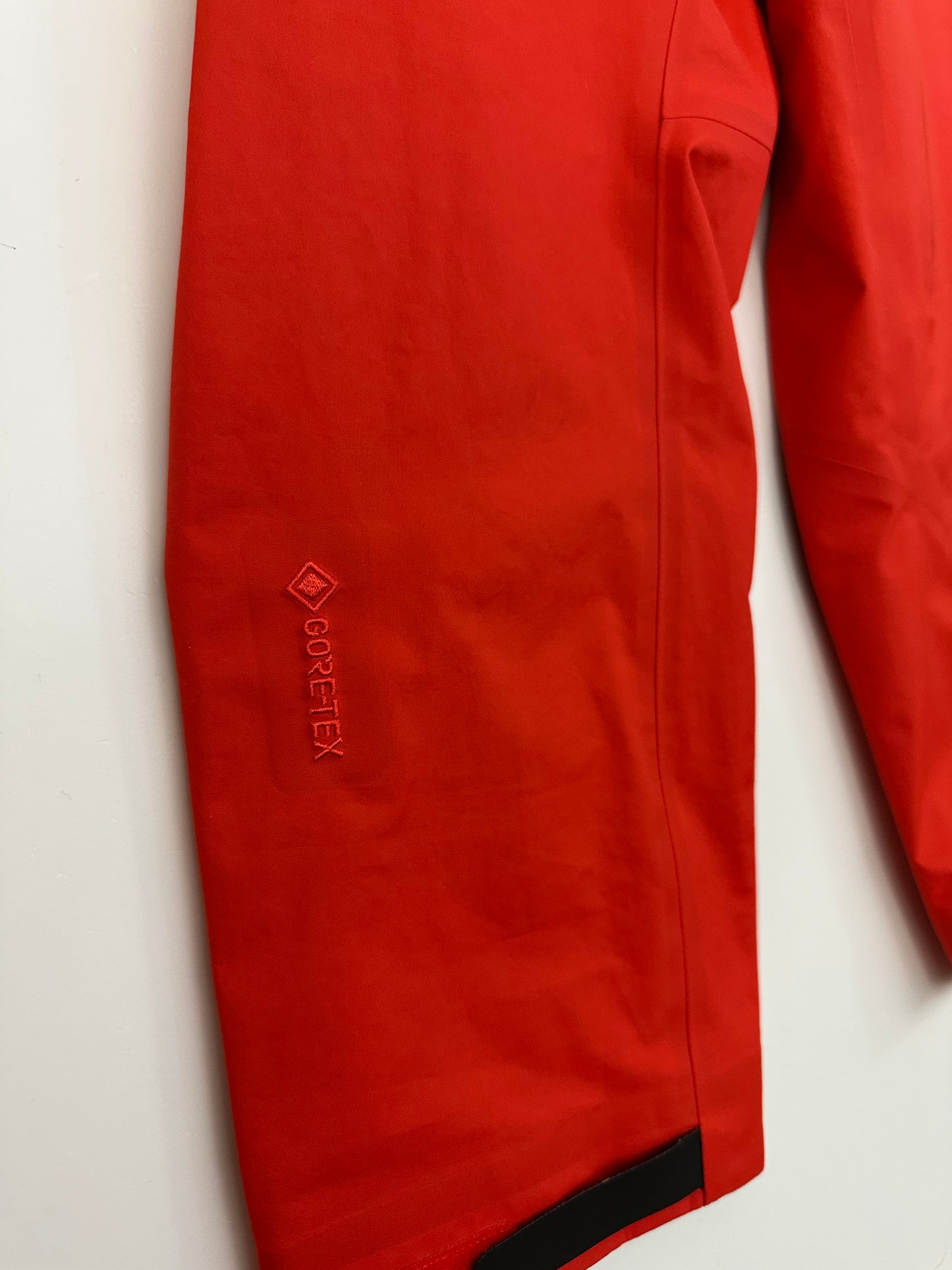 Arc’teryx Beta SL Jacket Dynasty Men’s L Large Gore-Tex RECCO