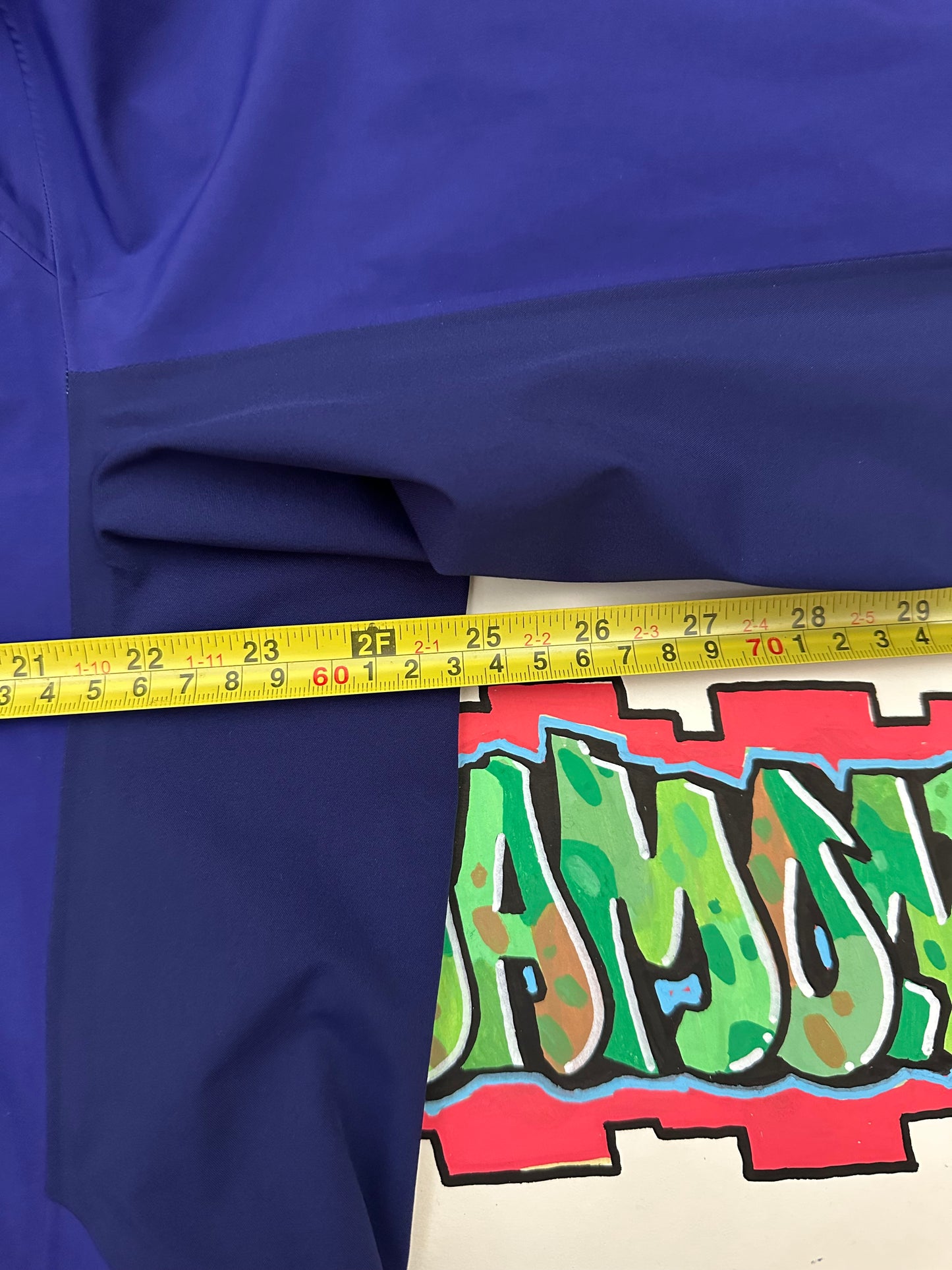 Arc’teryx Procline Comp Jacket Purple Men’s L Large Gore-Tex