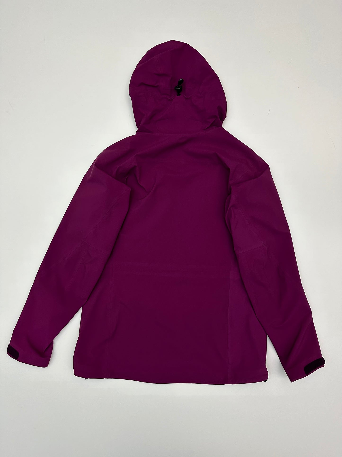 Arc’teryx Zeta AR Jacket Pink Women’s L Large Gore-Tex