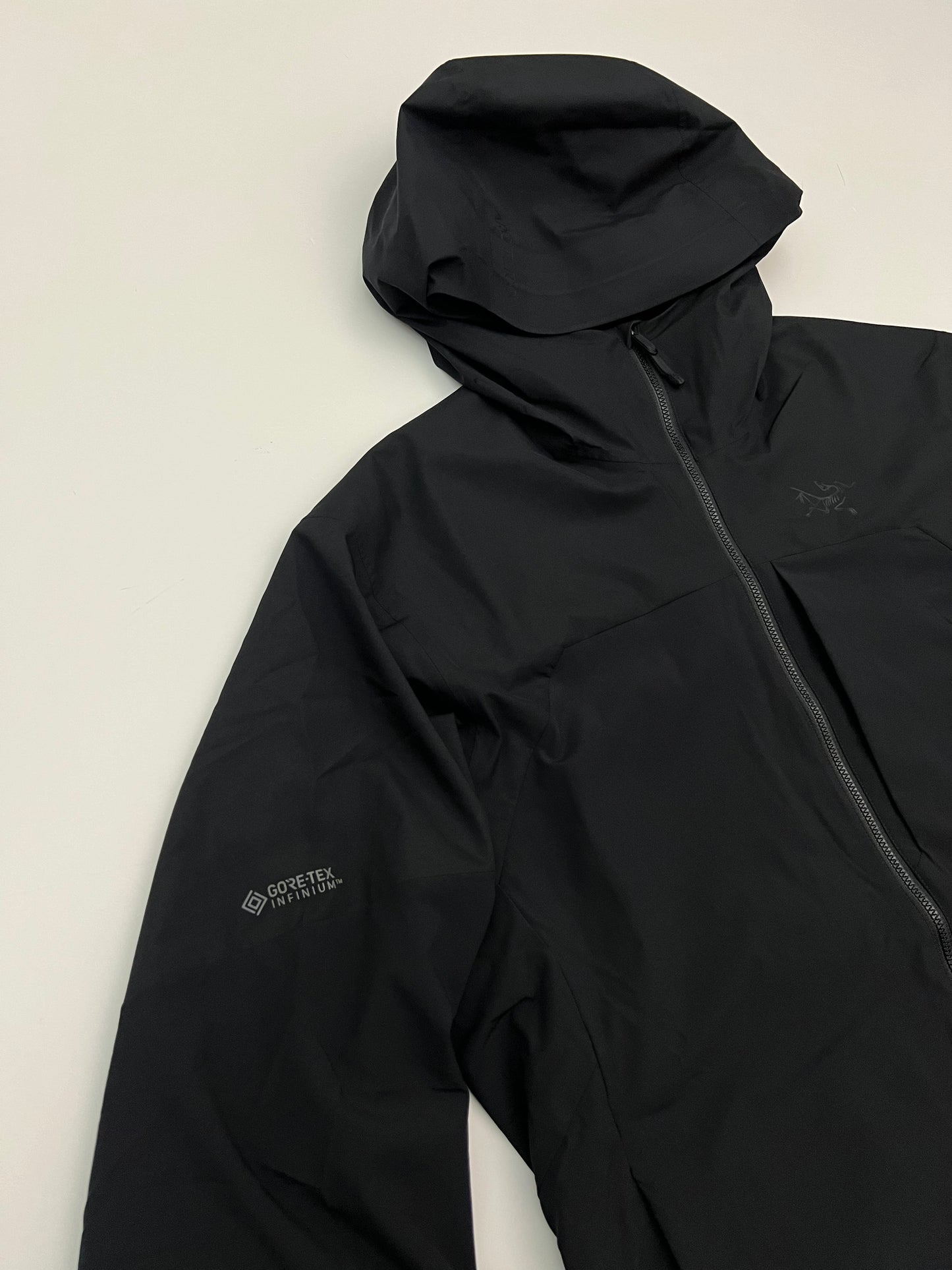 Arc’teryx Proton Hybrid Hoody Black Men’s L Large Gore-Tex Infinium RECCO