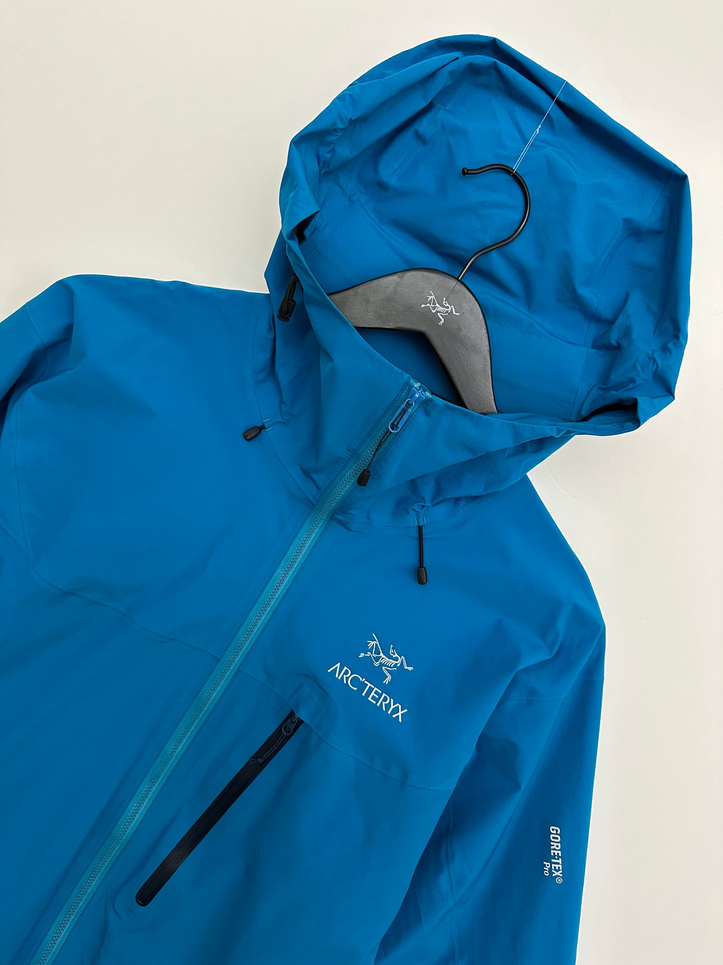 Arc’teryx Alpha FL Jacket Blue Men’s L Large Gore-Tex Pro