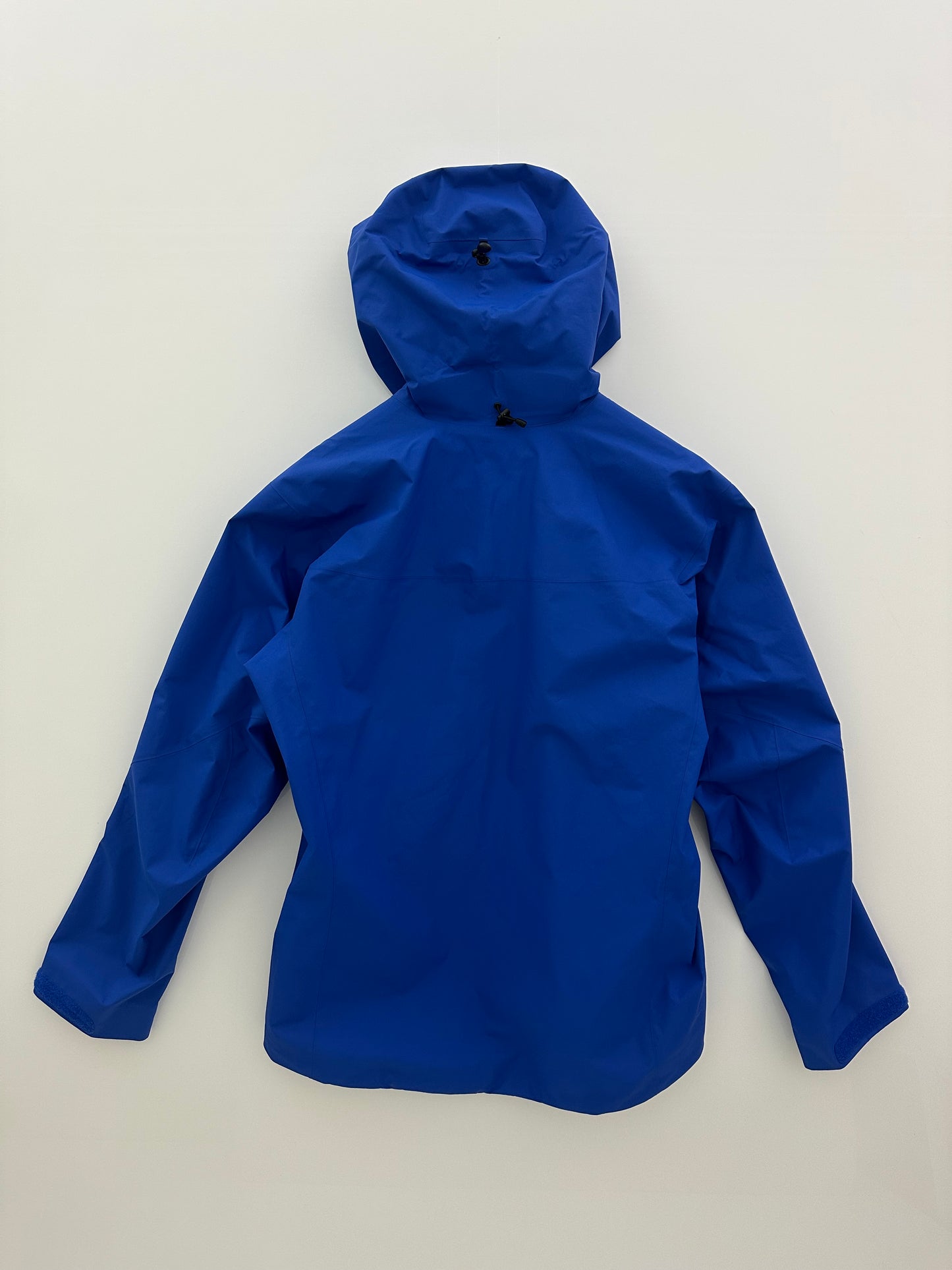 Arc’teryx Alpha SV Jacket Vitality Men’s L Large Gore-Tex Pro RECCO