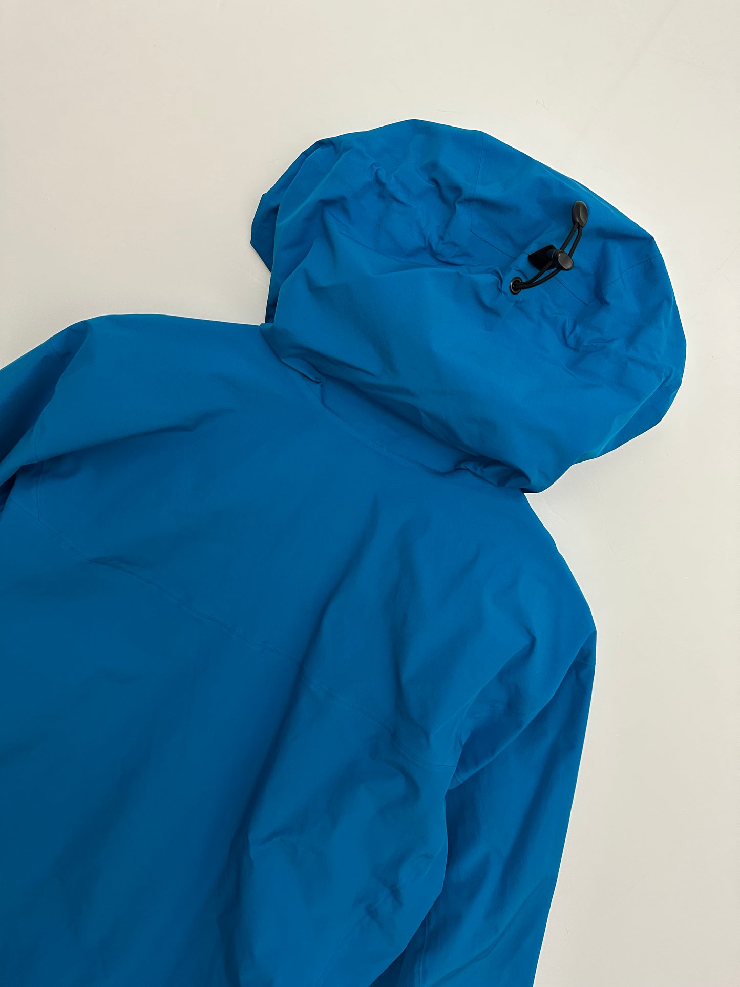 Arc’teryx Alpha FL Jacket Blue Men’s L Large Gore-Tex Pro