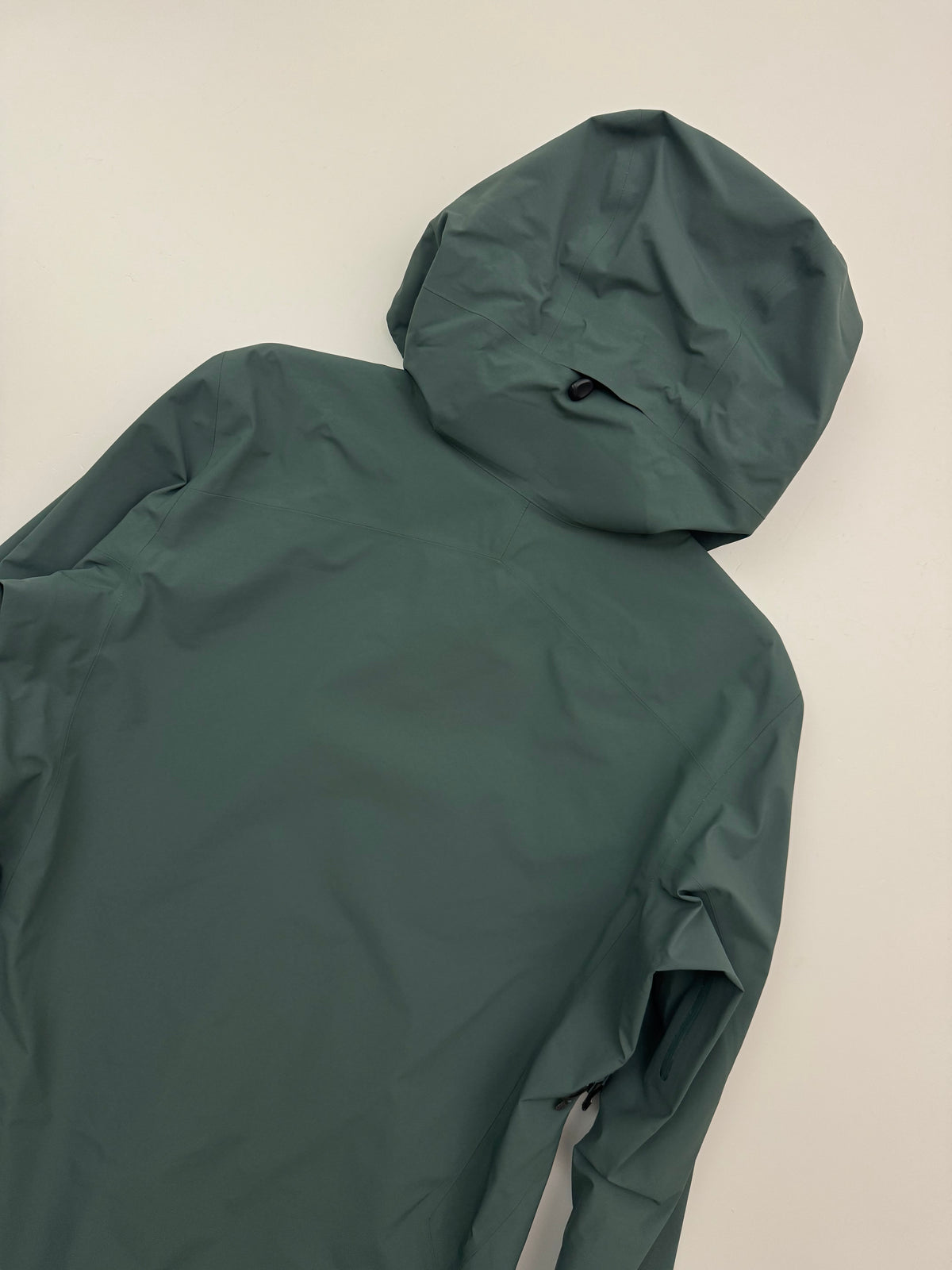 Arc'teryx Zeta AR Jacket Green Women's L Large Gore-Tex
