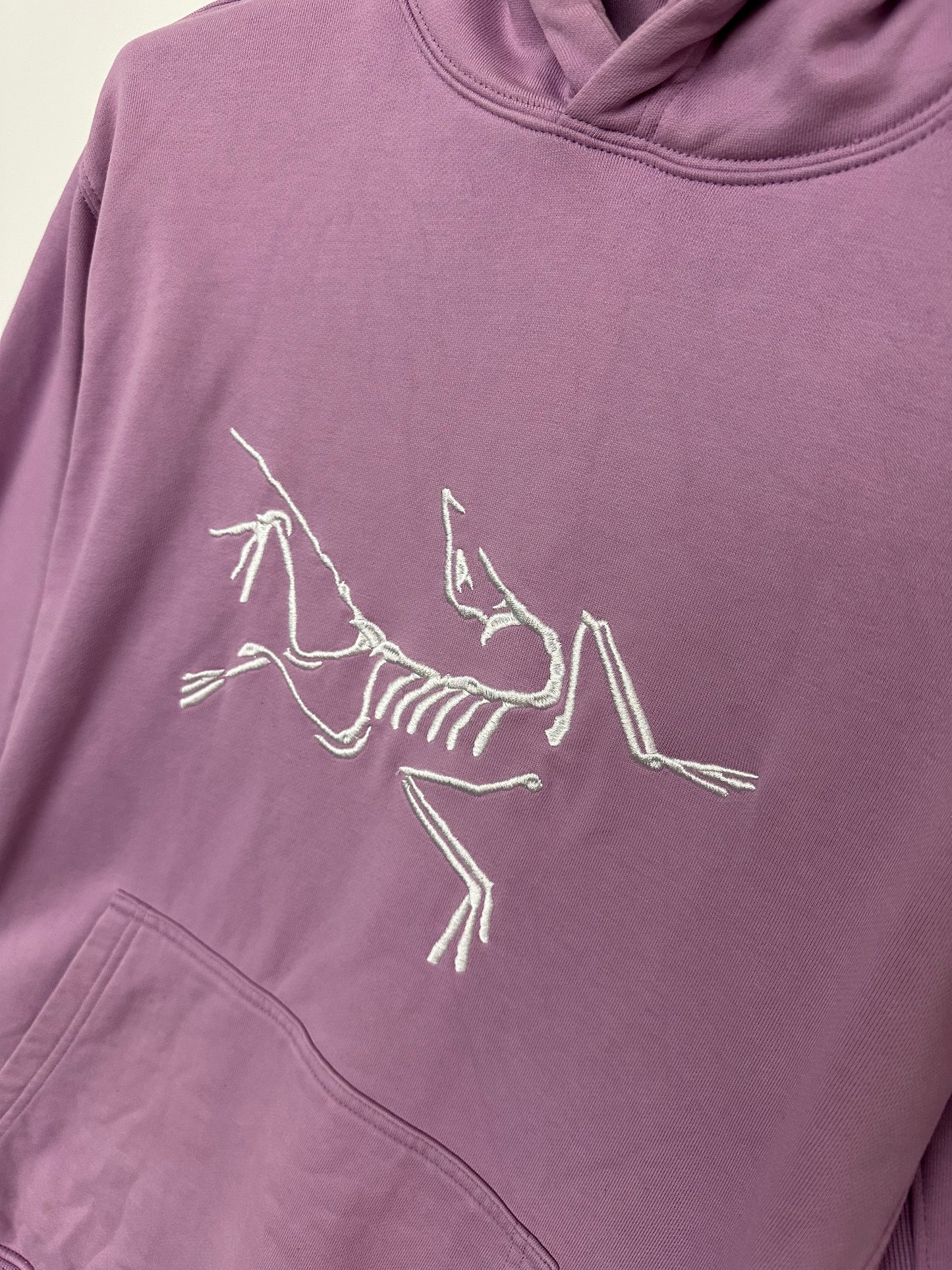Arc’teryx X Palace Collab Hoody Size S Small Mens Purple / Lilac