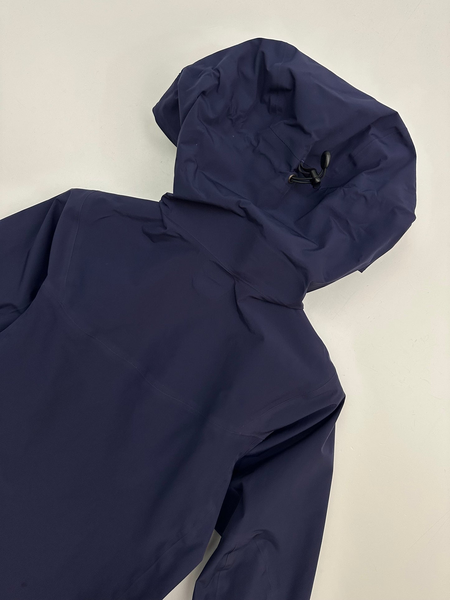 Arc’teryx Beta LT Jacket Purple Women’s XS Extra Small Gore-Tex Pro