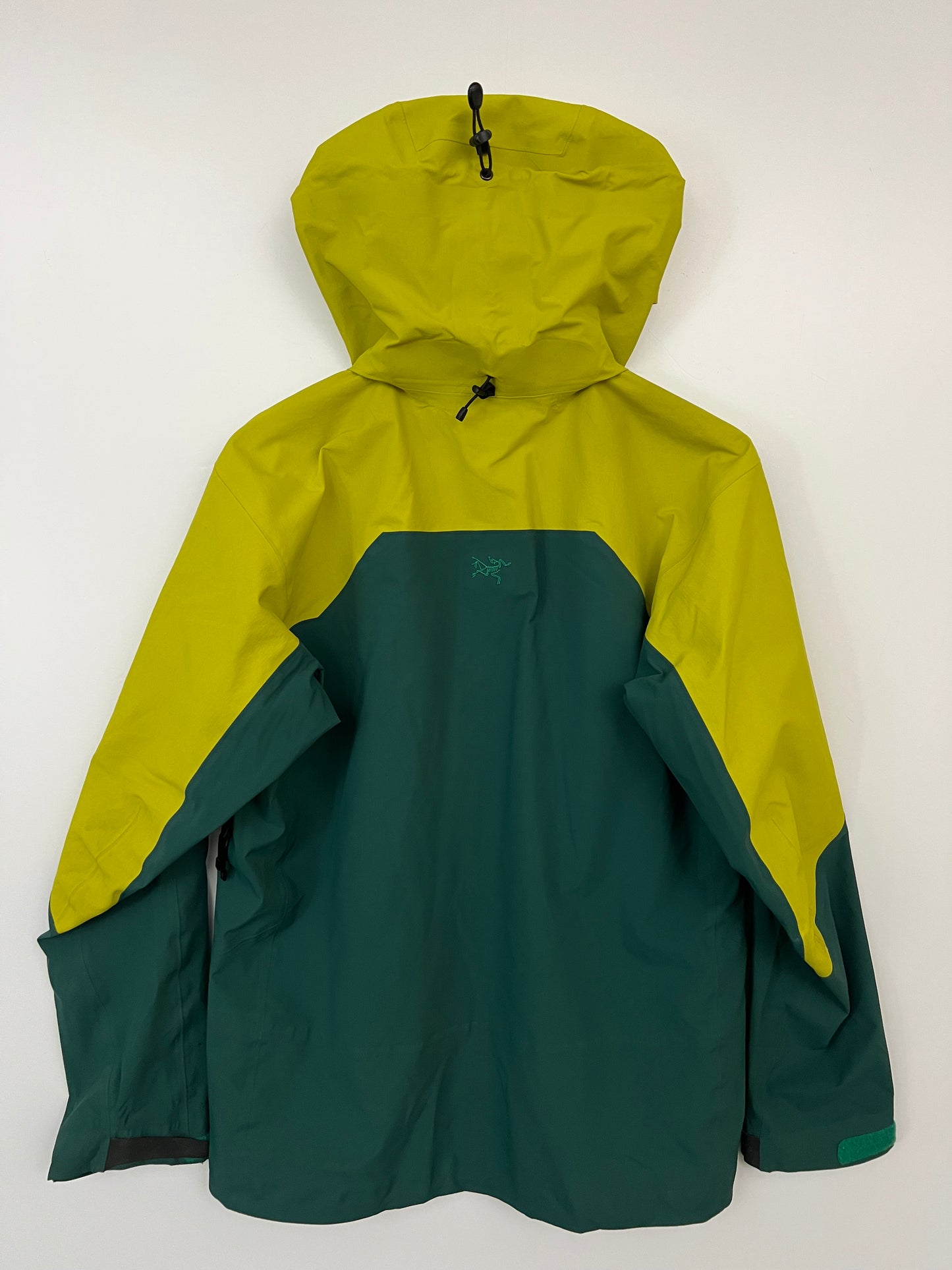 Arc'teryx Rush Jacket Forest Green Men's L Large Gore-Tex Pro