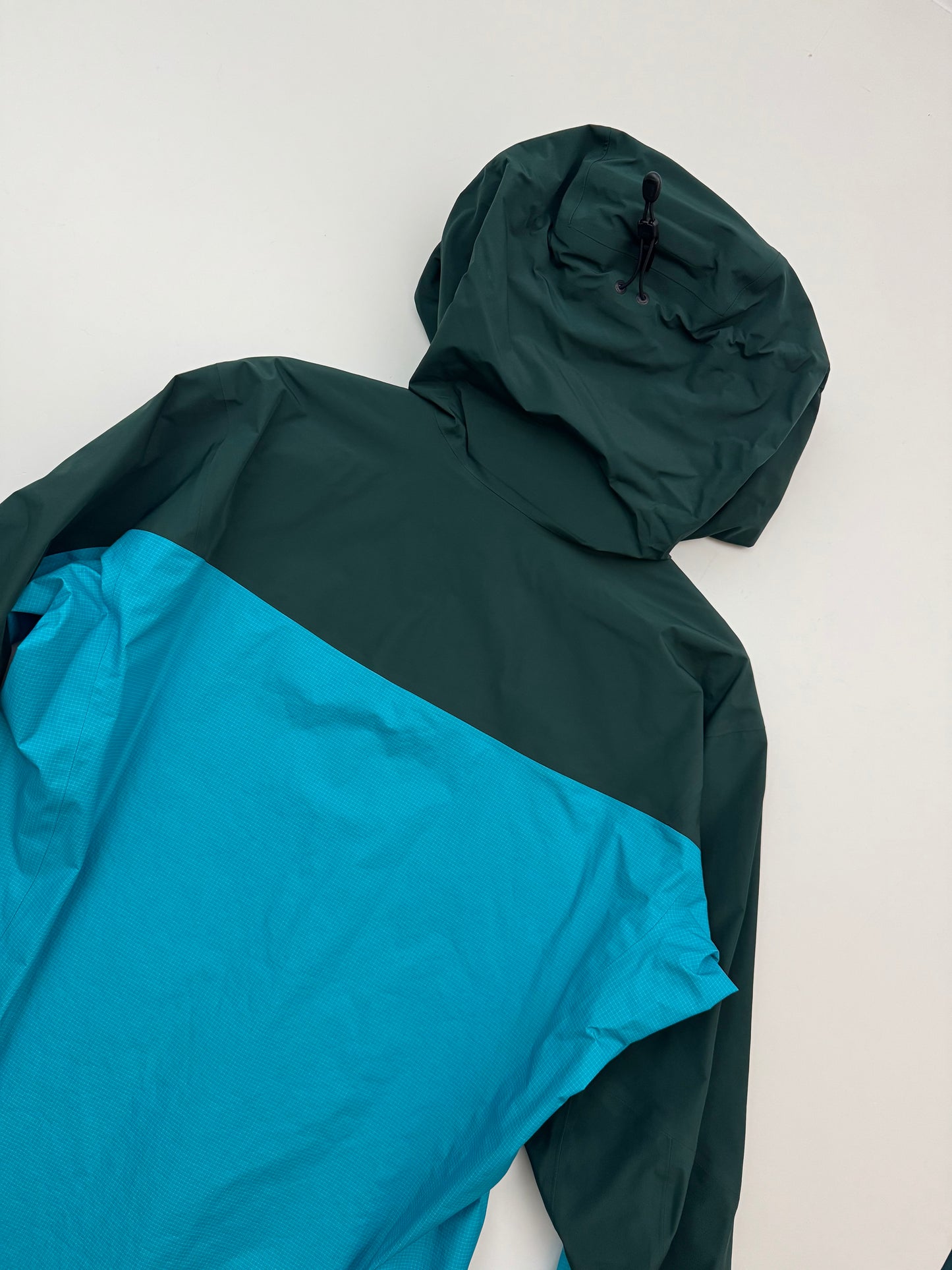 Arc’teryx Alpha Jacket Blue Tetra / Pytheas Men’s Medium Gore-Tex Pro RECCO