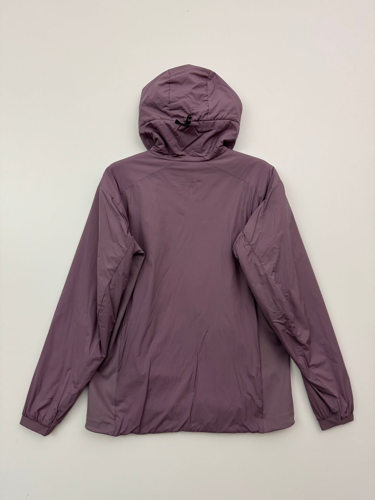 Arc'teryx Atom Hoody Interstellar Men's L Large