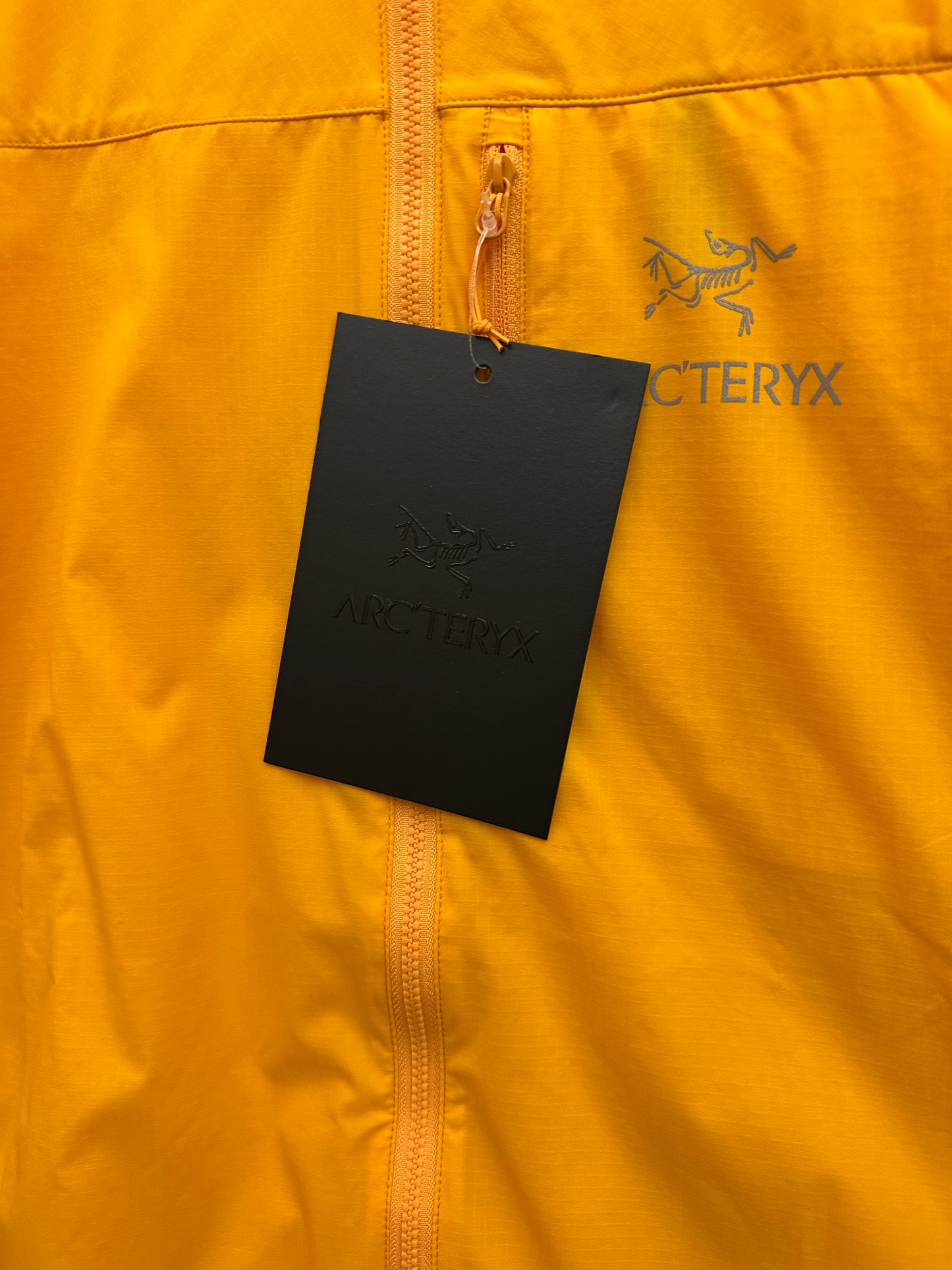 Arc’teryx Squamish Hoody Edziza Men’s S Small