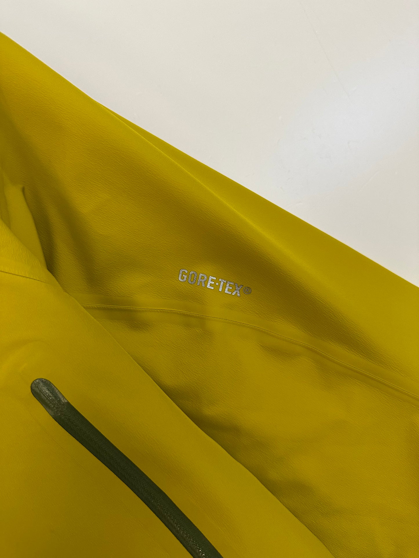 Arc'teryx Zeta LT Gore-Tex Jacket, Size L, Men's, Citron