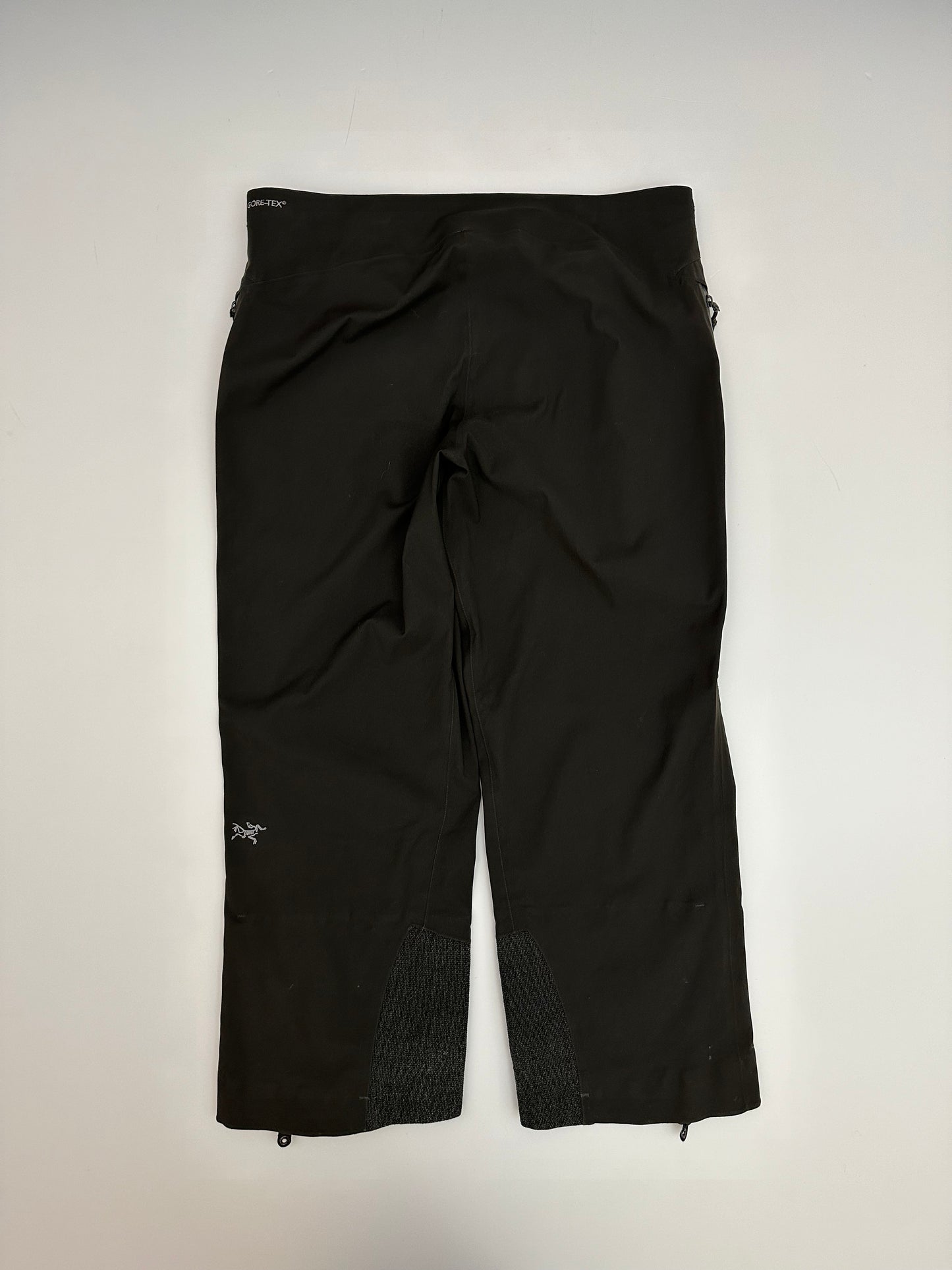 Arc'teryx Stingray Pant Dark Cinder Men’s XL Gore-Tex Insulated