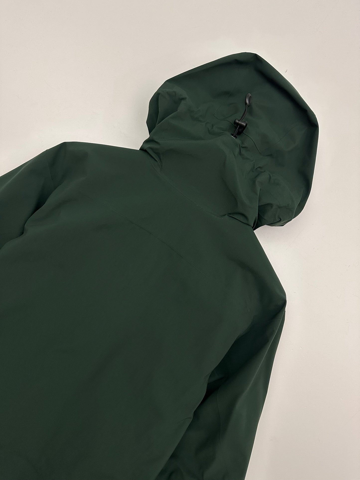 Arc’teryx Zeta AR Jacket Conifer Green Men’s S Small Gore-Tex