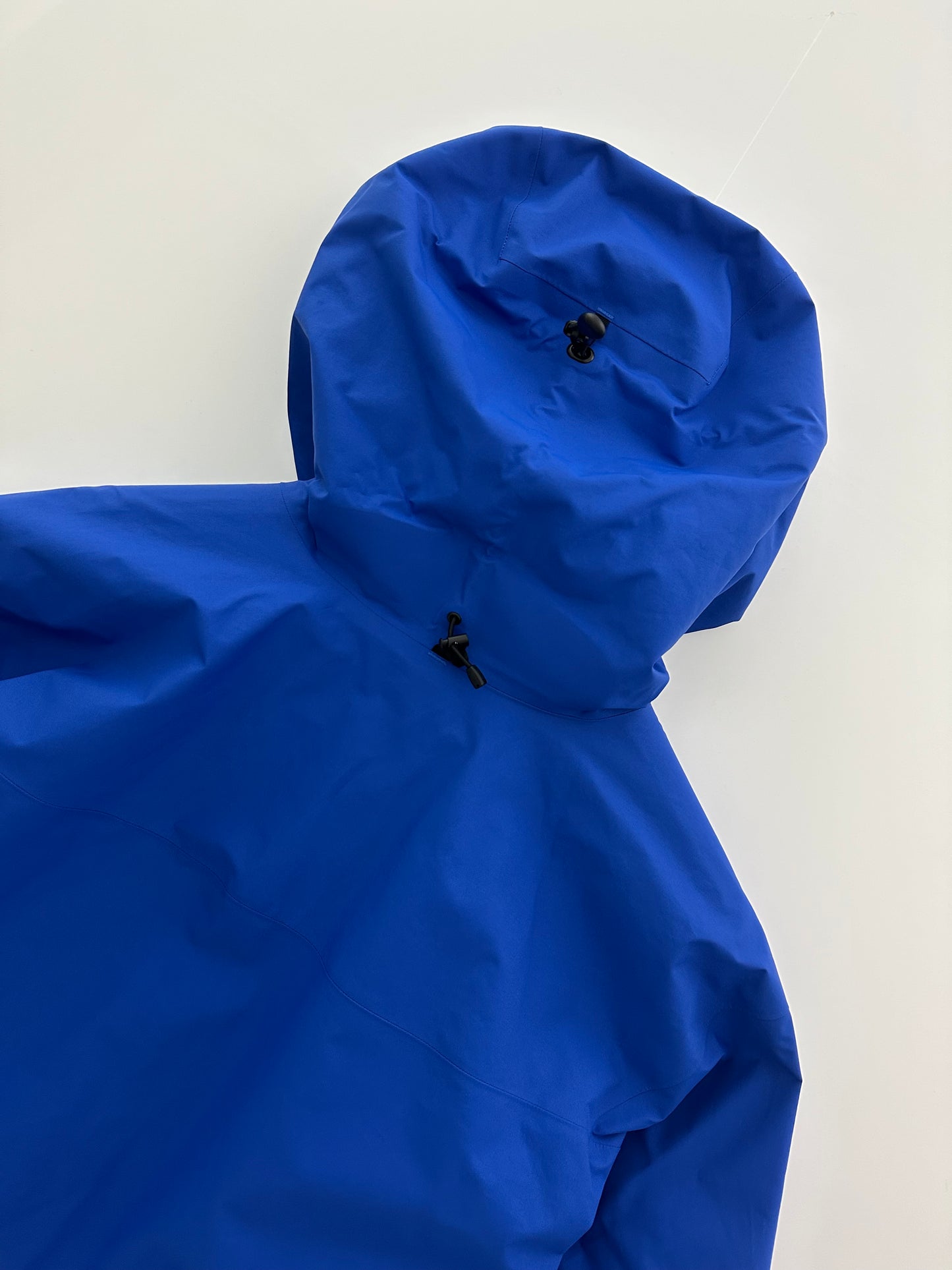 Arc’teryx Alpha SV Jacket Vitality Men’s L Large Gore-Tex Pro RECCO