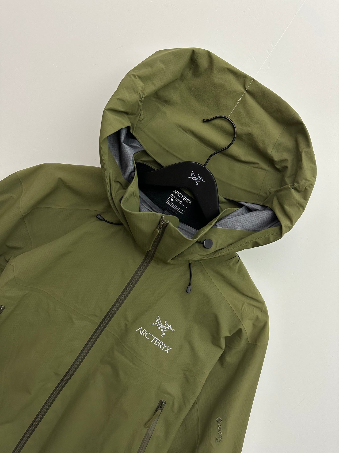 Arc’teryx Beta AR Jacket Green Men’s L Large Gore-Tex Pro