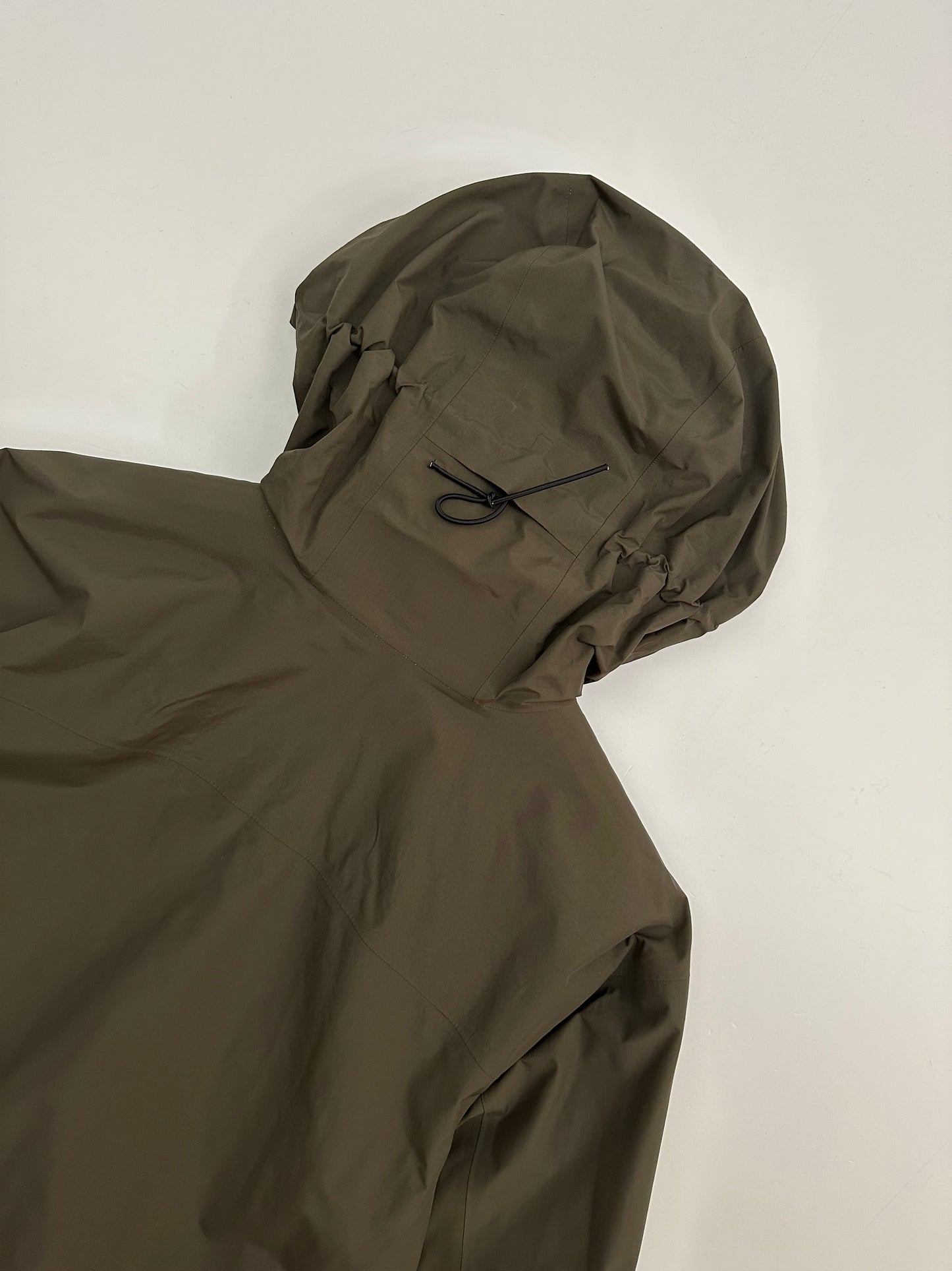 Arc’teryx Zeta SL Jacket Dracaena Green Men’s M Medium Gore-Tex