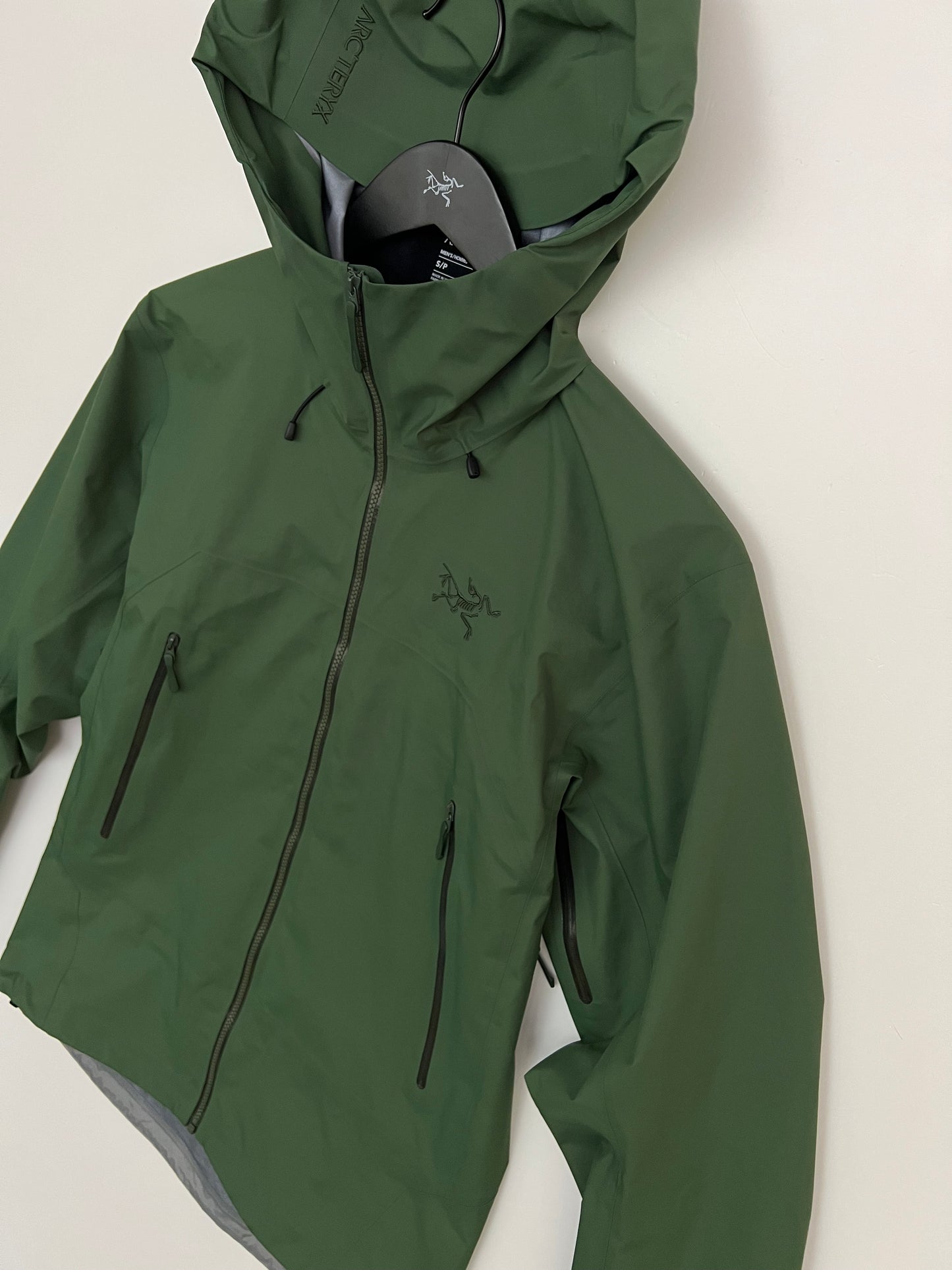 Arc’teryx Beta SL Jacket Eden Men’s S Small Gore-Tex RECCO
