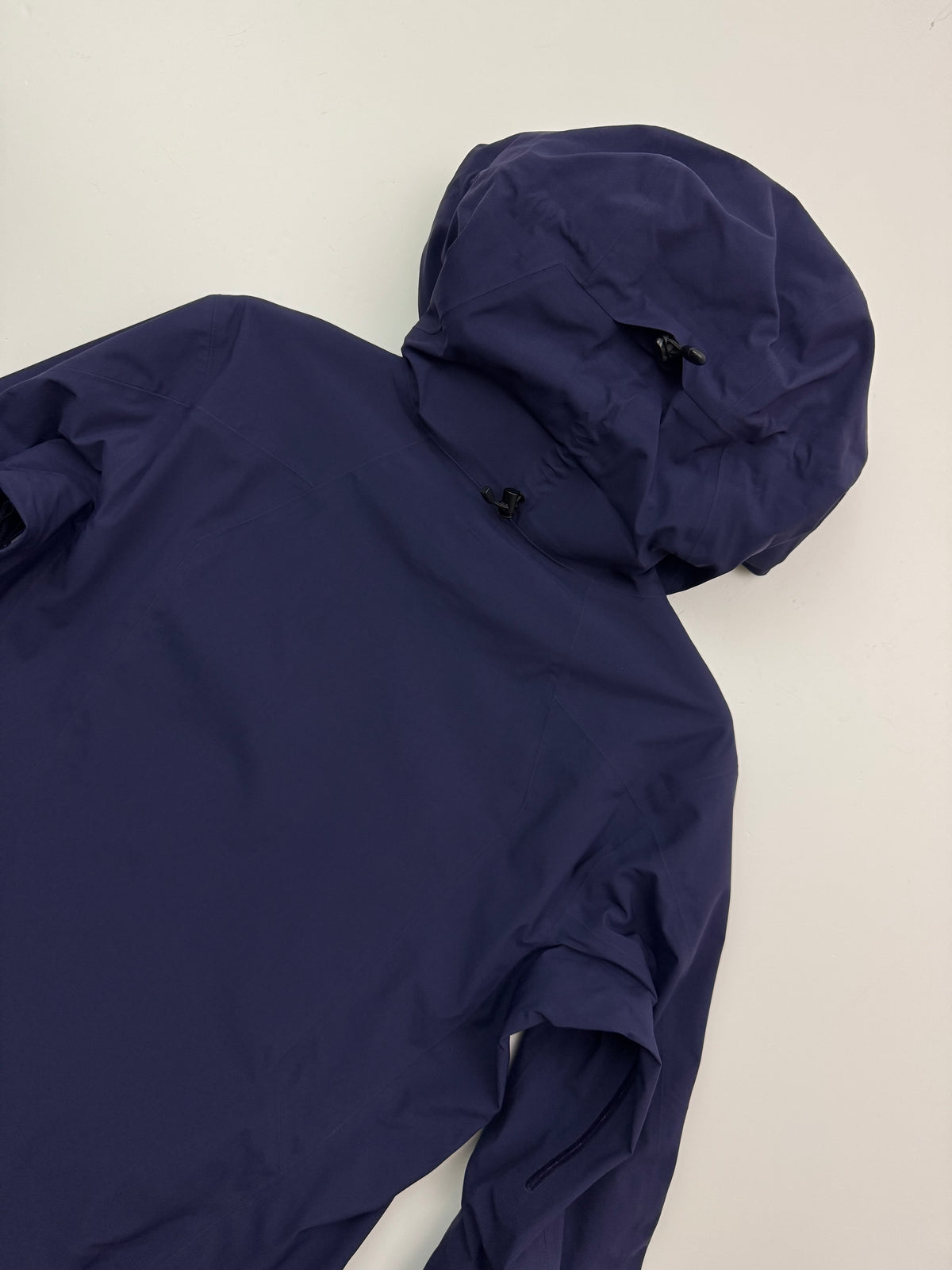 Arc'teryx Sentinel Jacket Purple Women's L Large Gore-Tex RECCO