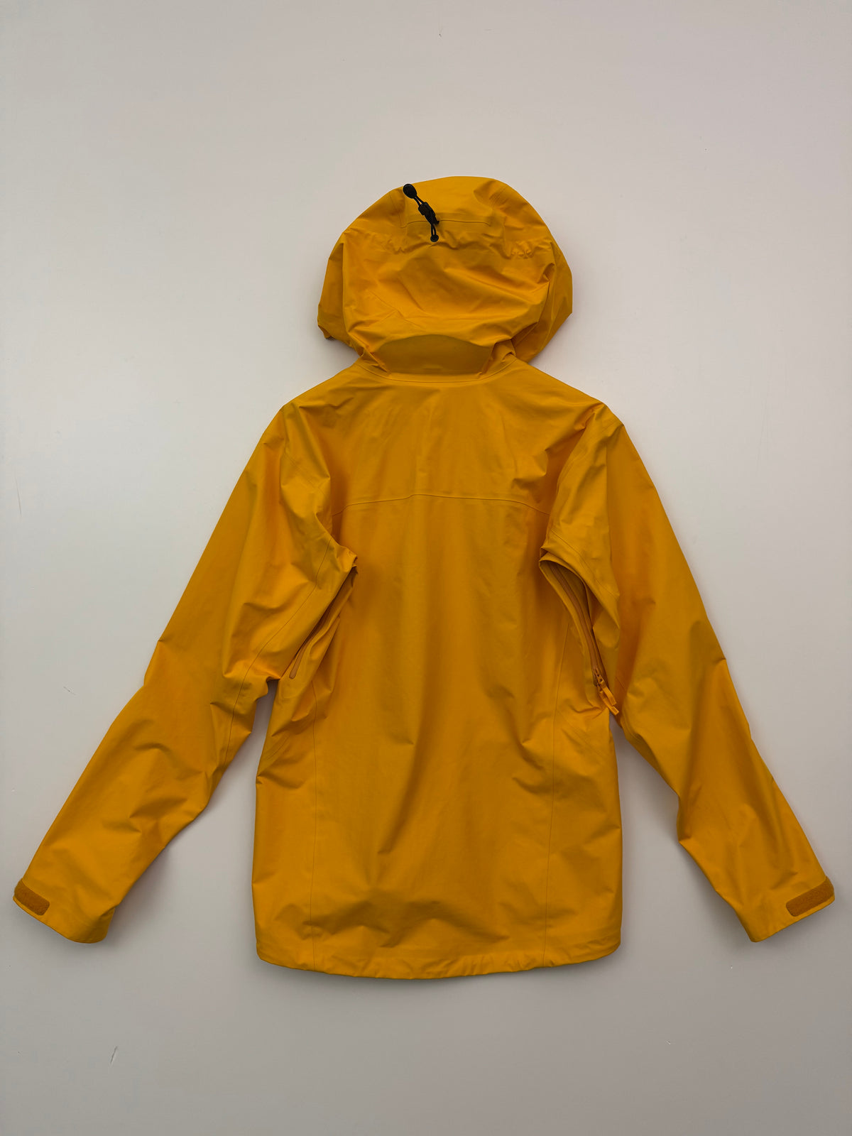 Arc'teryx Beta LT Jacket Edziza Men's S Small Gore-Tex